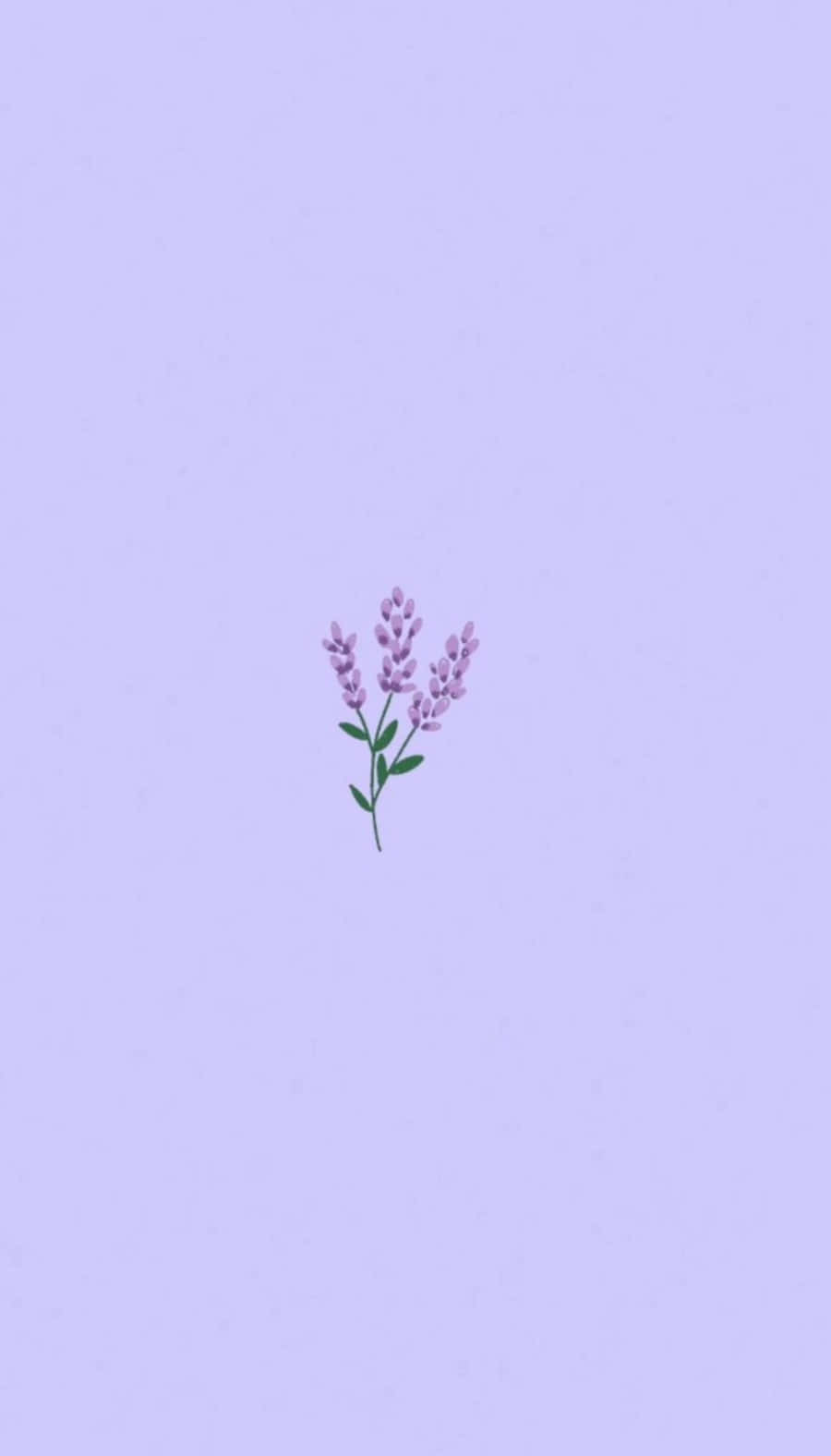 Lavendelzweig, Minimalistisch, Lavendel, Pastell, Pflanze, HD, Handy-Hintergrundbild