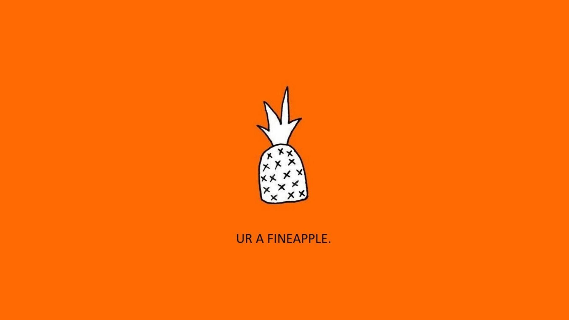 Ananas, Ur a Fineapple, Wortspiel, Strichzeichnung, Orangefarbener Hintergrund, 1080p Wallpaper