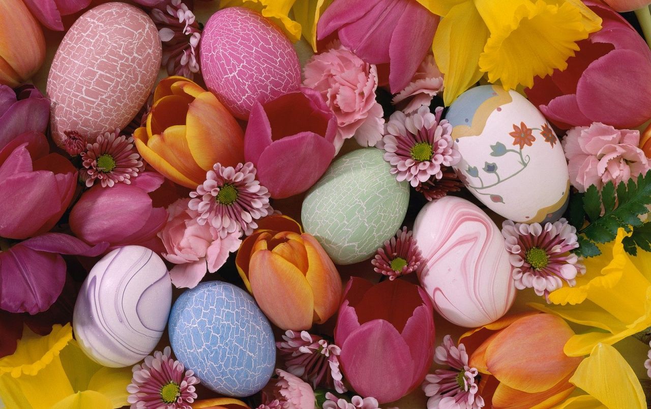 Ostereier, Tulpen, Narzissen, Bunt, Frühling, HD, Hintergrundbild für den PC