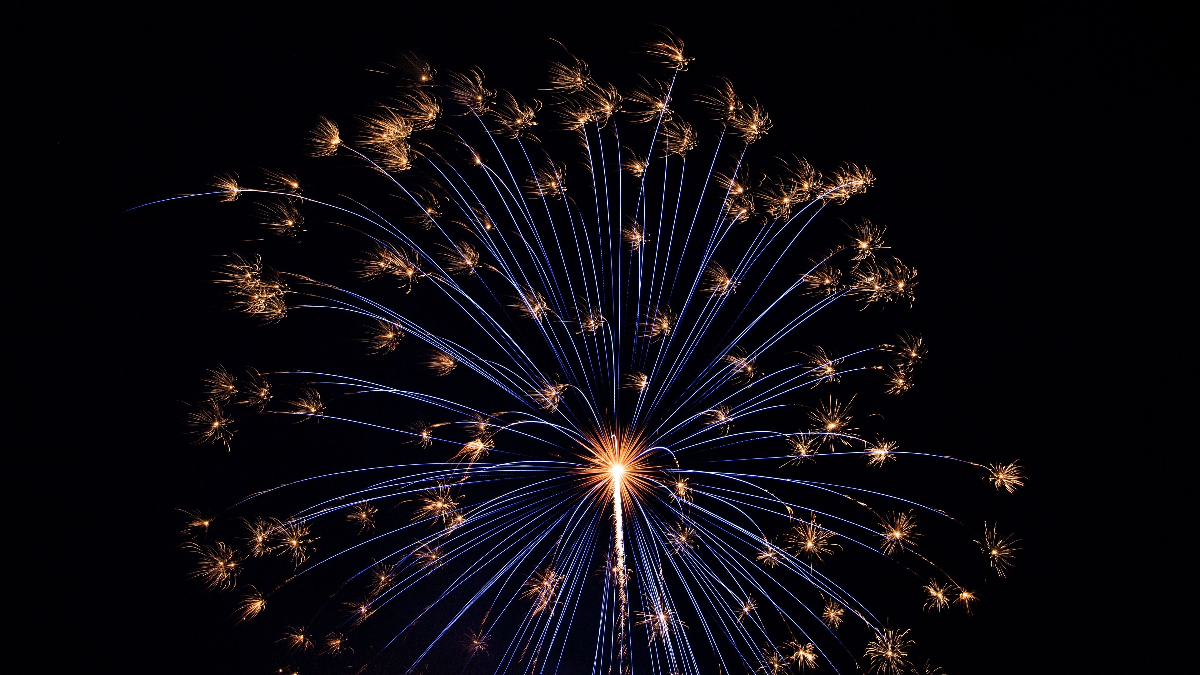 Feuerwerk, Blau, Gold, Schwarzer Hintergrund, 4K Wallpaper