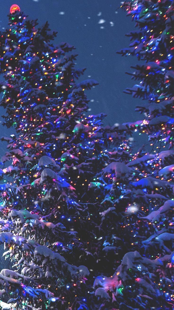 Weihnachtsbaum, Bunte Lichter, Nacht, Blaue Töne, Draußen, HD, Handy-Hintergrundbild
