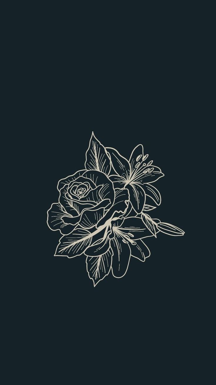 Blumenzeichnung, Rose, Linienkunst, Minimalistisch, Dunkler Hintergrund, Sperrbildschirm fürs iPhone