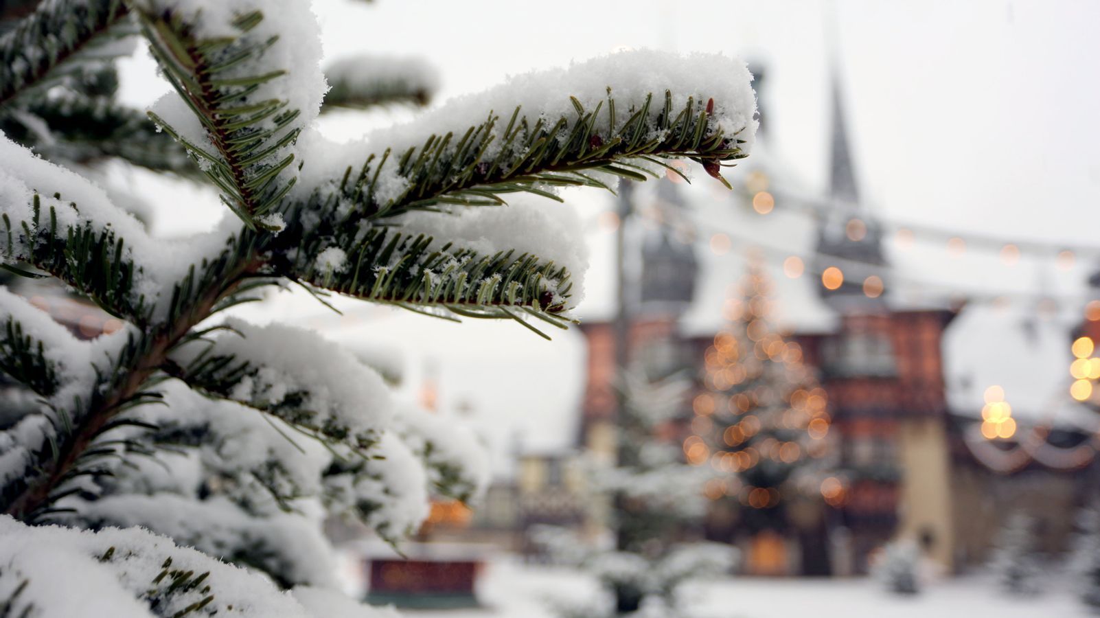 Verschneite Tannenzweige, Fachwerkhaus, Rathaus, Weihnachtsmarkt, Winter, HD, Windows-Hintergrundbild