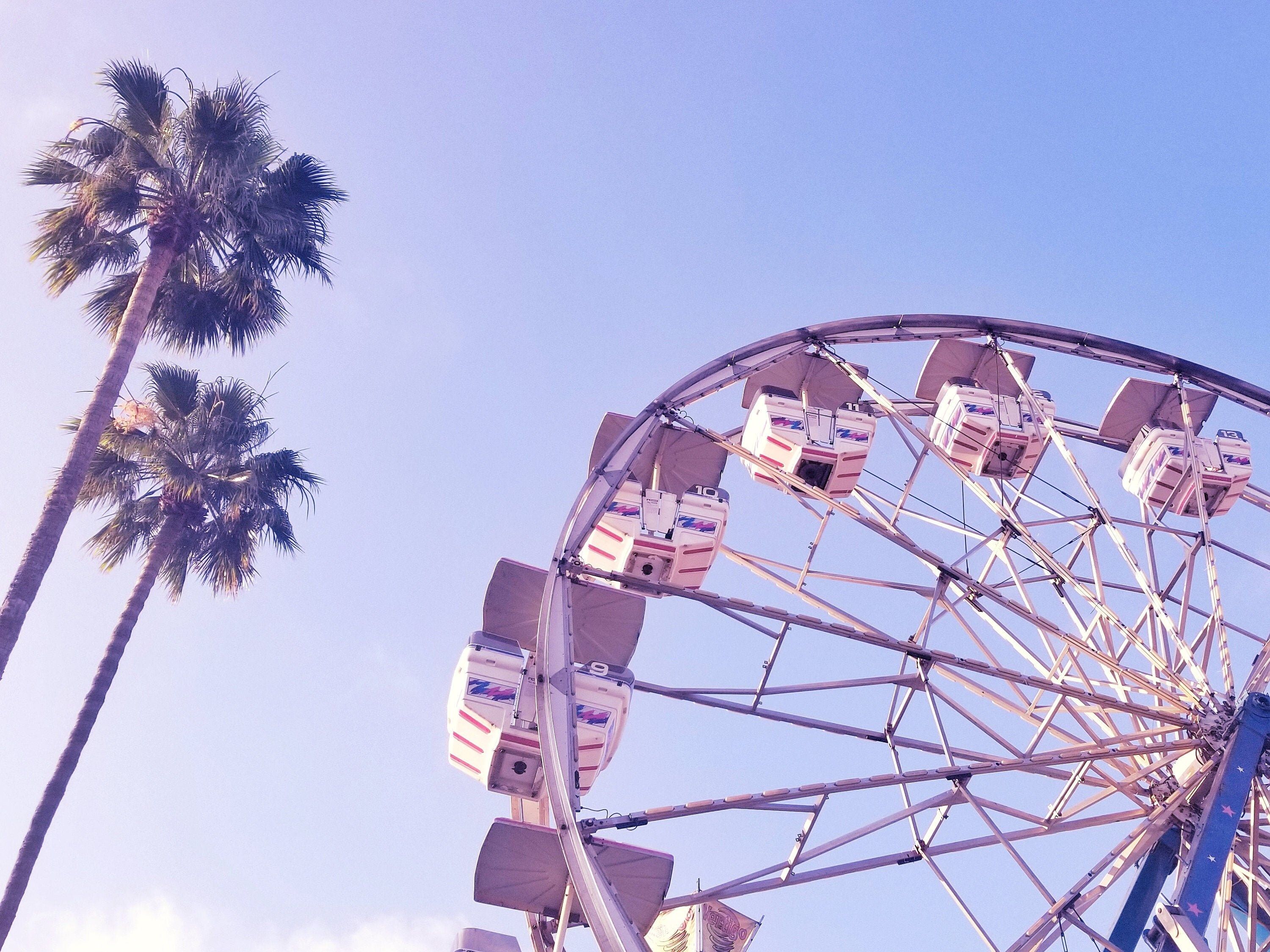 Riesenrad, Palmen, Lila Himmel, Sommer, Froschperspektive, Hintergrundbild fürs Tablet