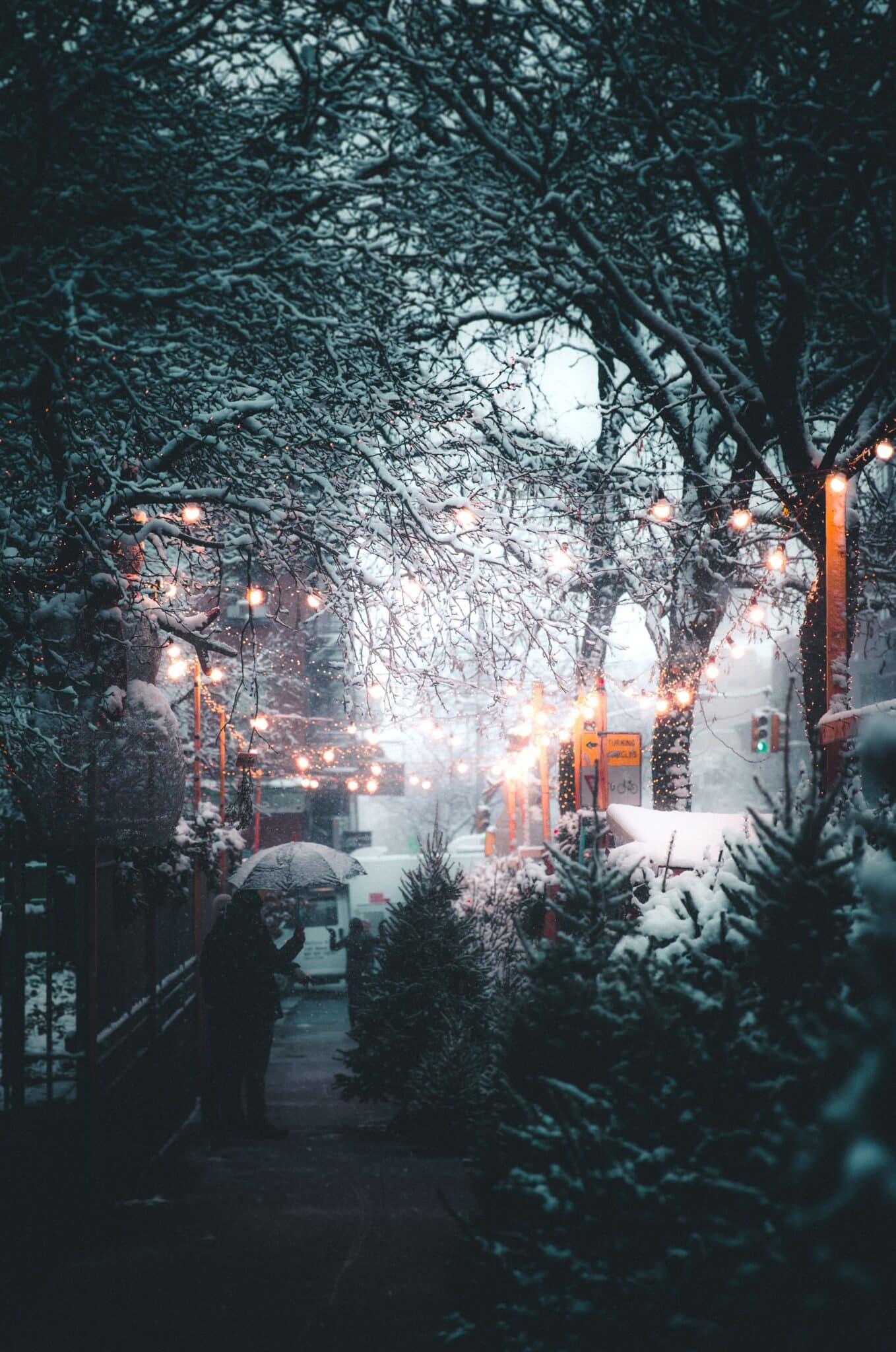 Verschneite Allee, Lichter, Winterabend, Dämmerung, Bäume, Full HD, Handy-Hintergrundbild