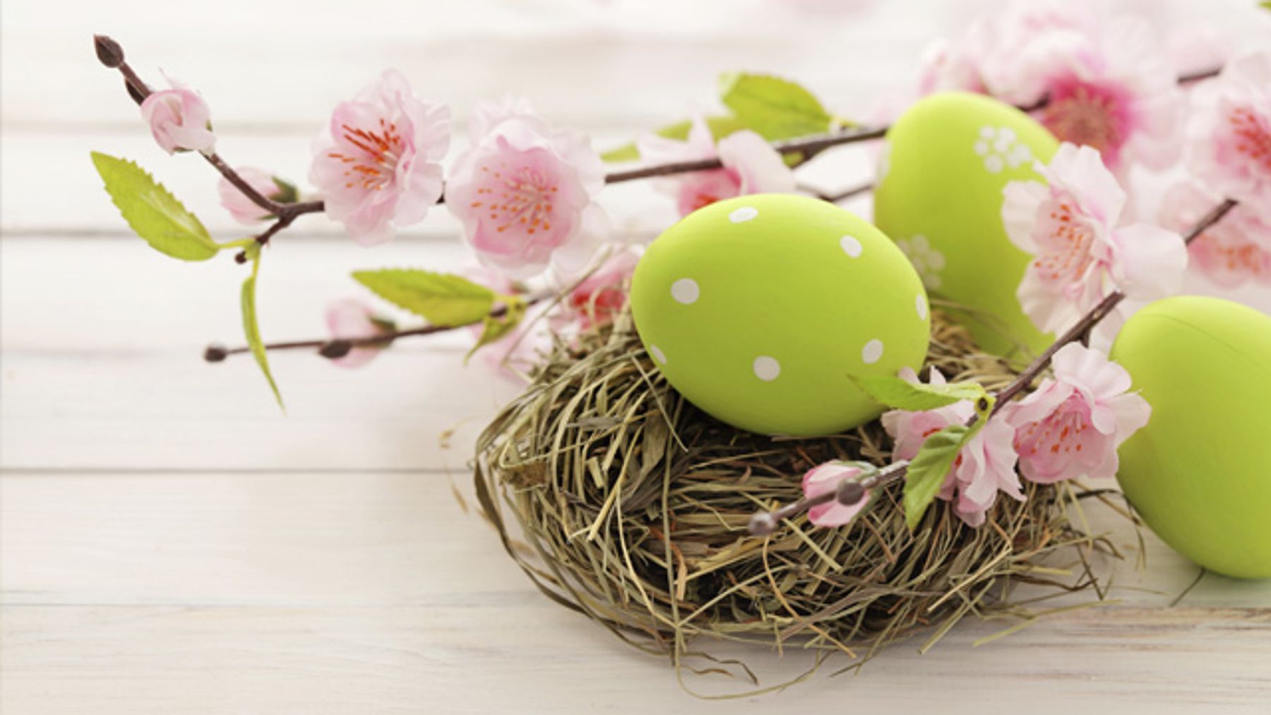 Ostereier, Nest, Kirschblüten, Grün, Pastell, 16:9, HD-Hintergrundbild für den Desktop