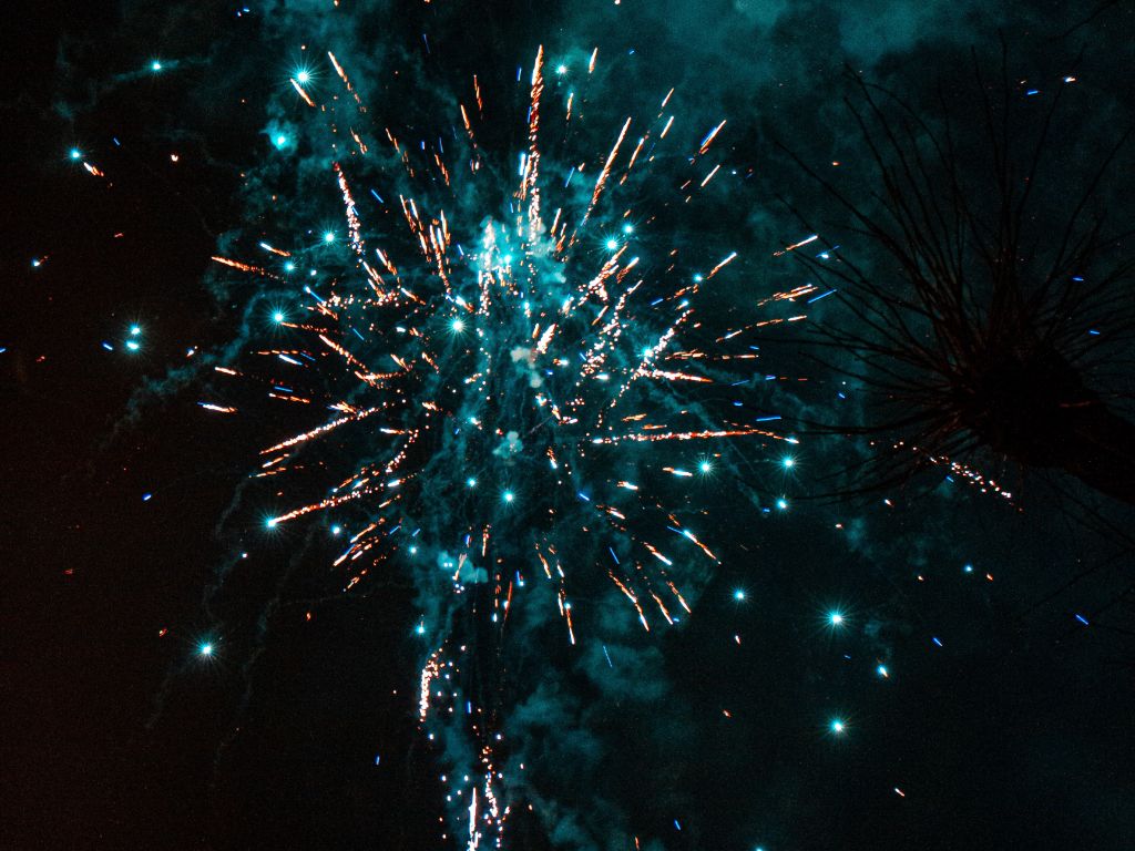 Feuerwerk, Türkis, Bäume, Nacht, Hintergrundbild für iPad und Tablet