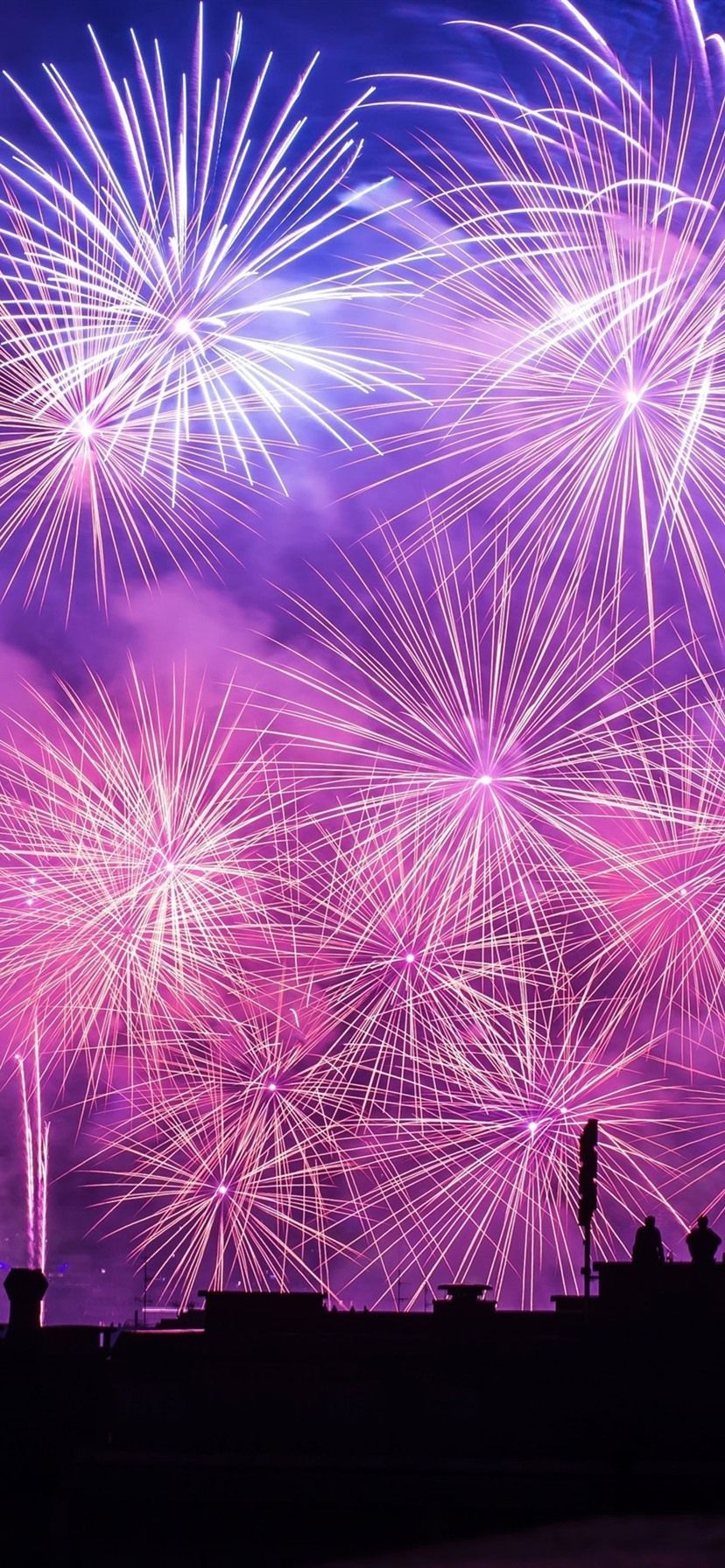 Feuerwerk, Pink, Lila, Silhouette, Nachthimmel, HD, Sperrbildschirm fürs iPhone