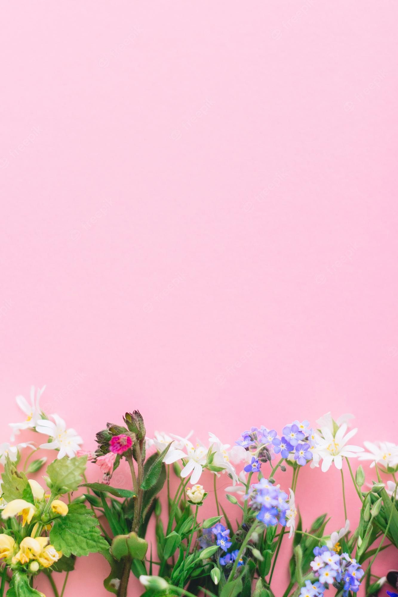 Wildblumen, Rosa Hintergrund, Frühling, Minimalistisch, Full HD, Sperrbildschirm fürs iPhone
