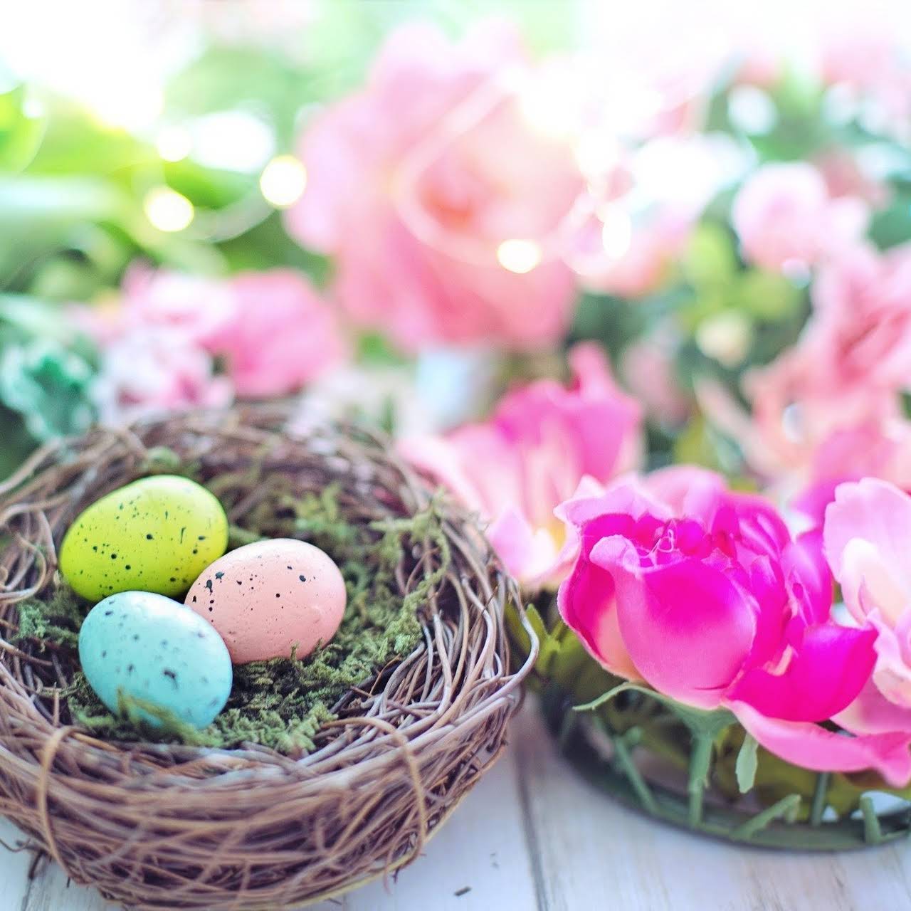 Ostereier, Nest, Pfingstrosen, Rosa, Unschärfe, HD, iPad-Hintergrundbild