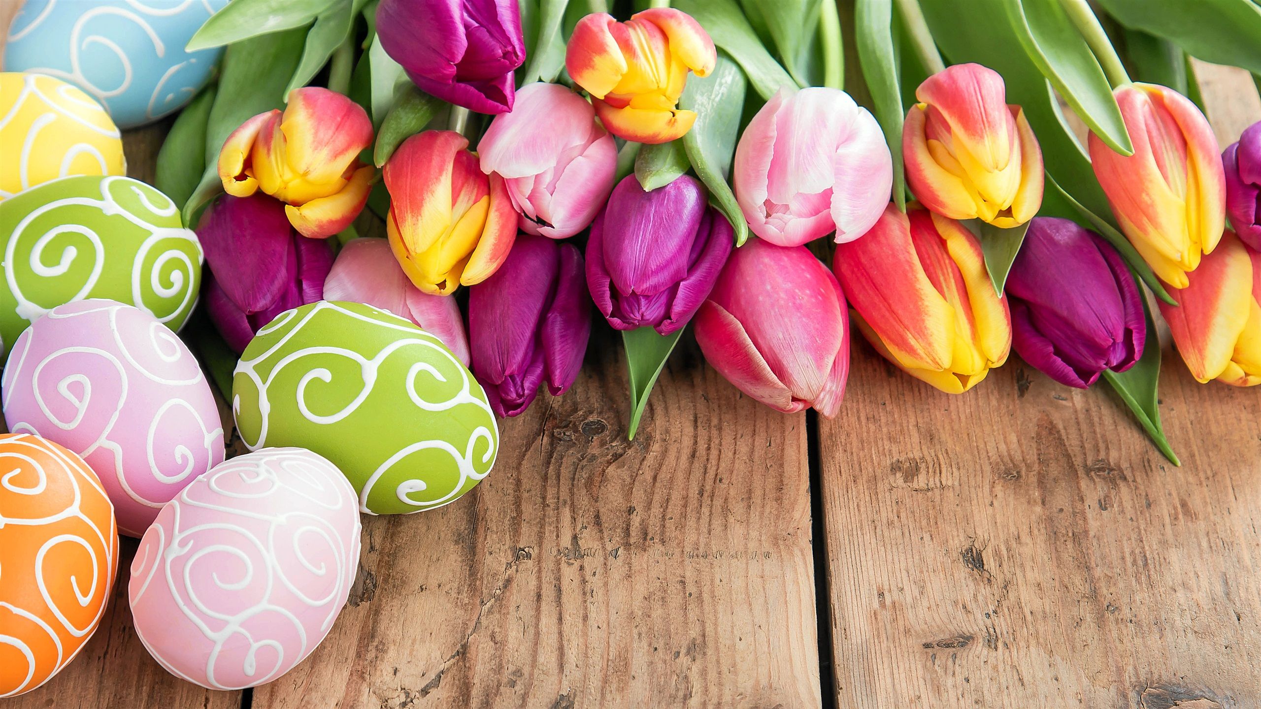 Tulpen, Ostereier, Holztisch, Bunt, Frühling, 2560x1440, 2K-Hintergrundbild für PC