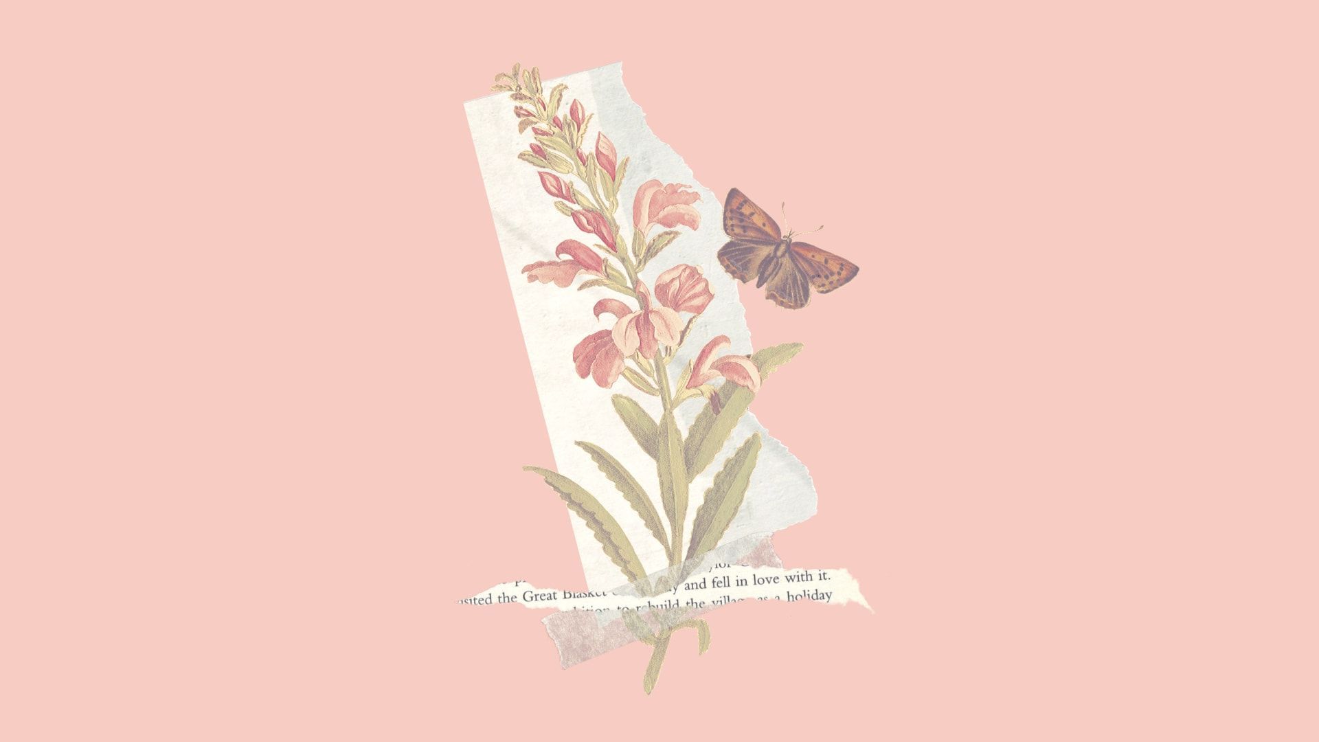 Blumenzweig, Schmetterling, Collage, Rosa, Vintage, 16:9, Full-HD-Hintergrundbild für den Desktop