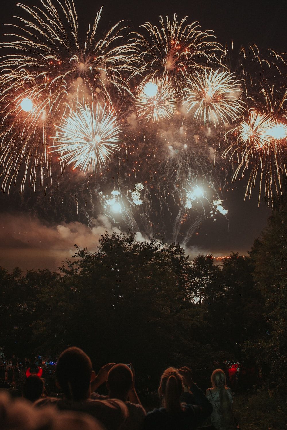 Feuerwerk, Zuschauer, Bäume, Silvester, HD, Handy-Hintergrund im Hochformat