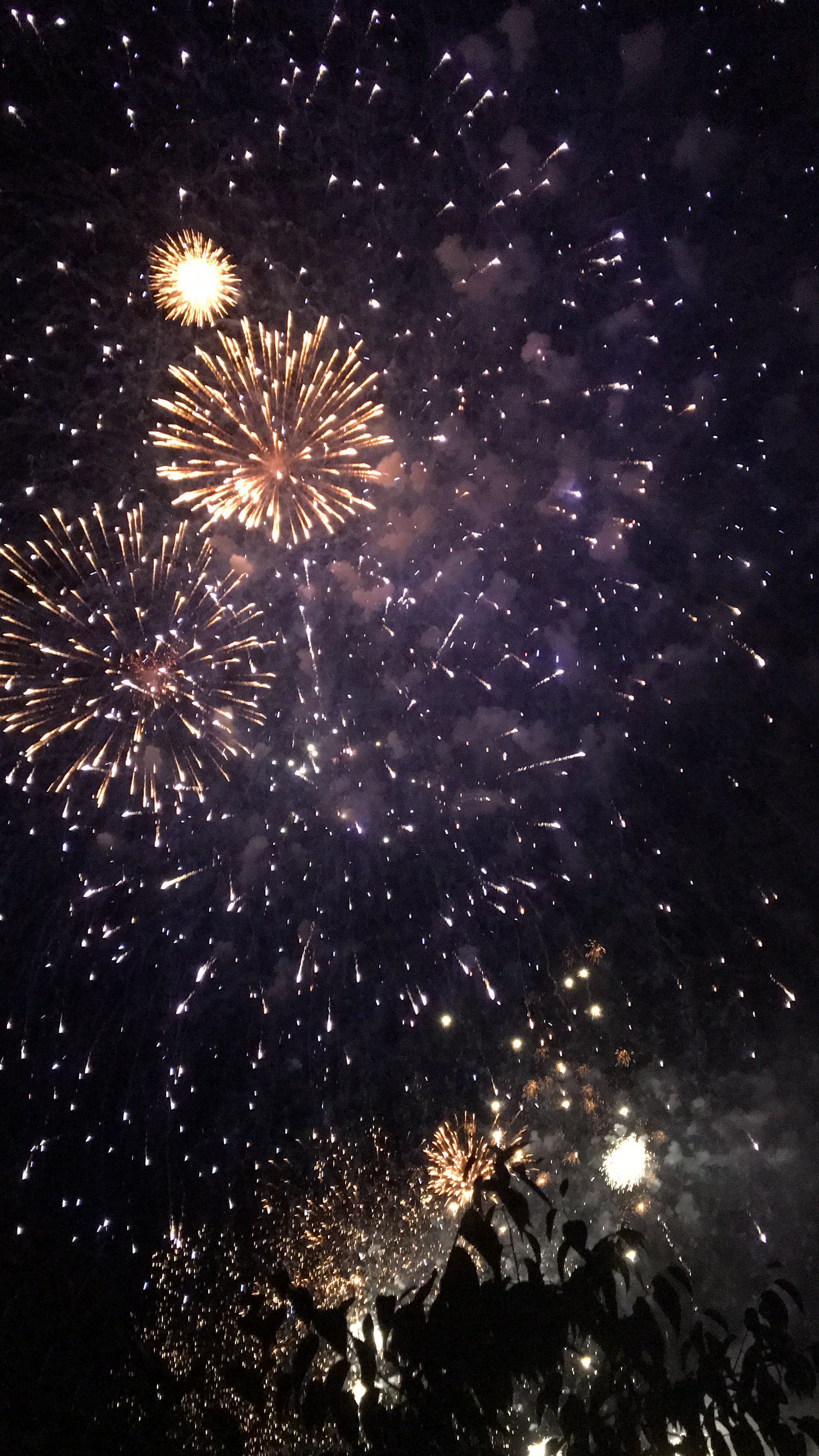 Feuerwerk, Rauch, Nachthimmel, Gold, QHD+, Handy-Hintergrund im Hochformat