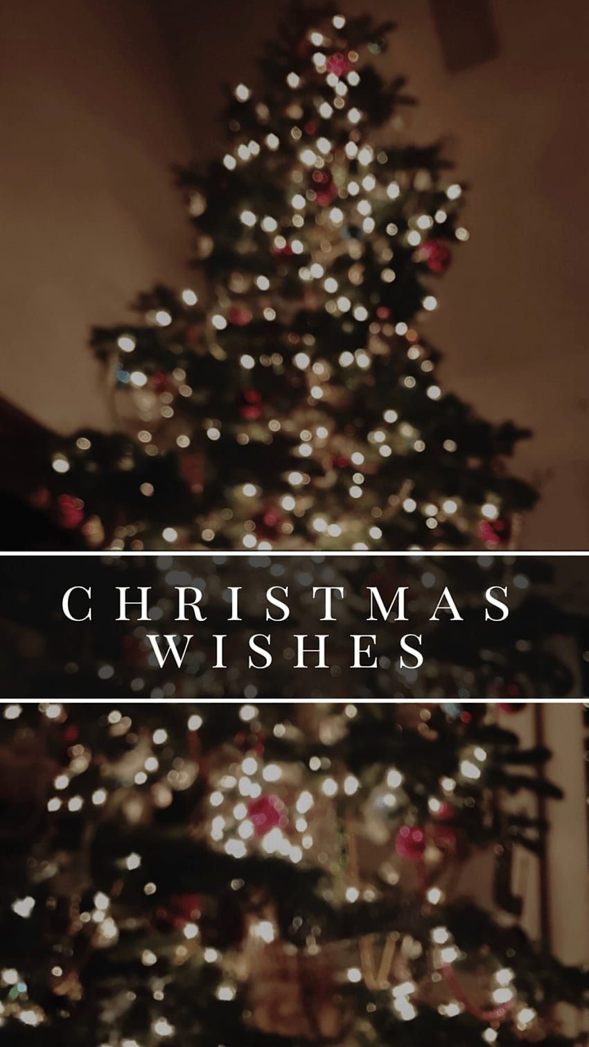 Christmas Wishes, Weihnachtsbaum, Lichterkette, Dunkel, Typografie, HD, Handy-Hintergrundbild
