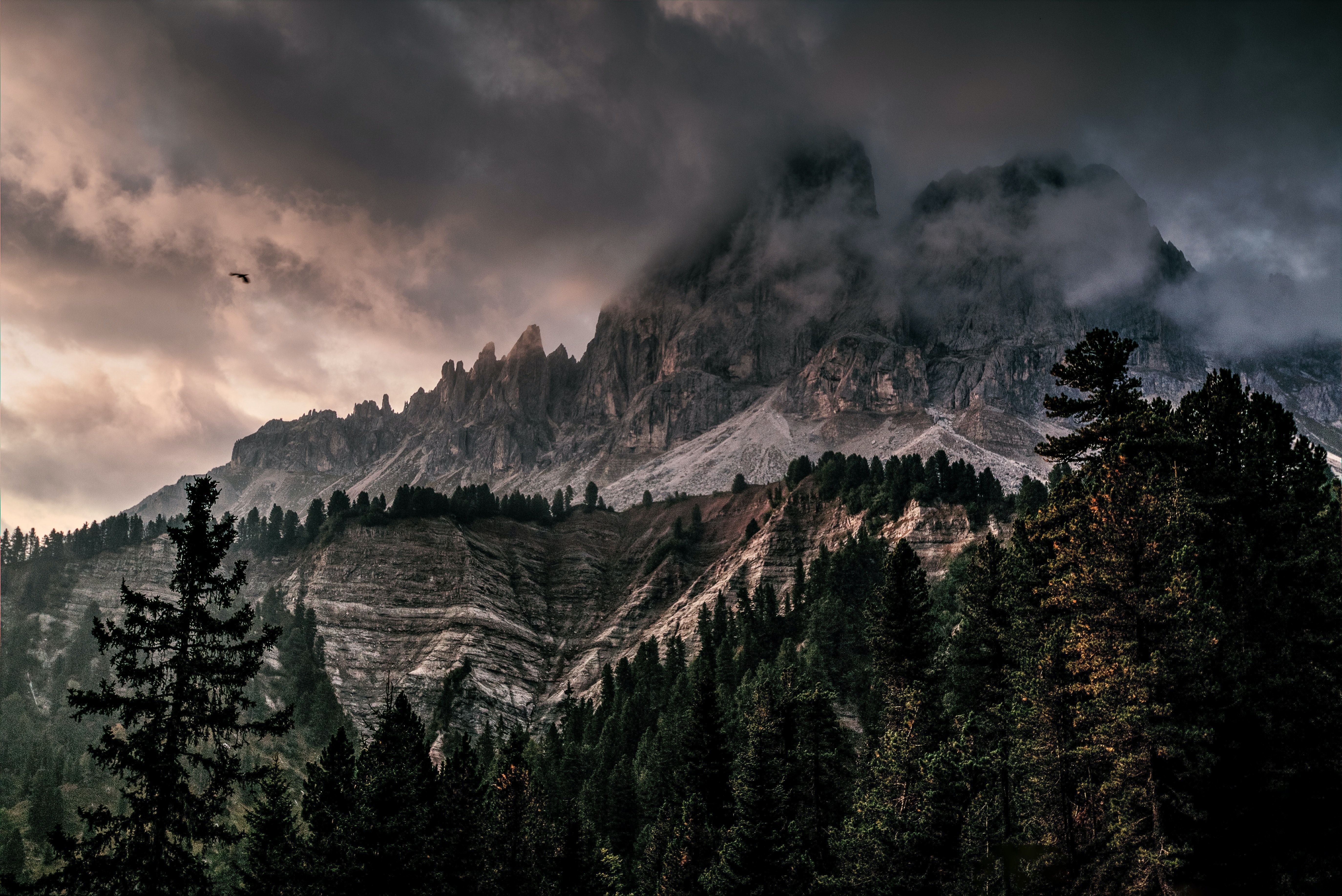 Felsgipfel, Nadelwald, Wolken, Düster, Gebirge, 5K, Hintergrundbild für den PC