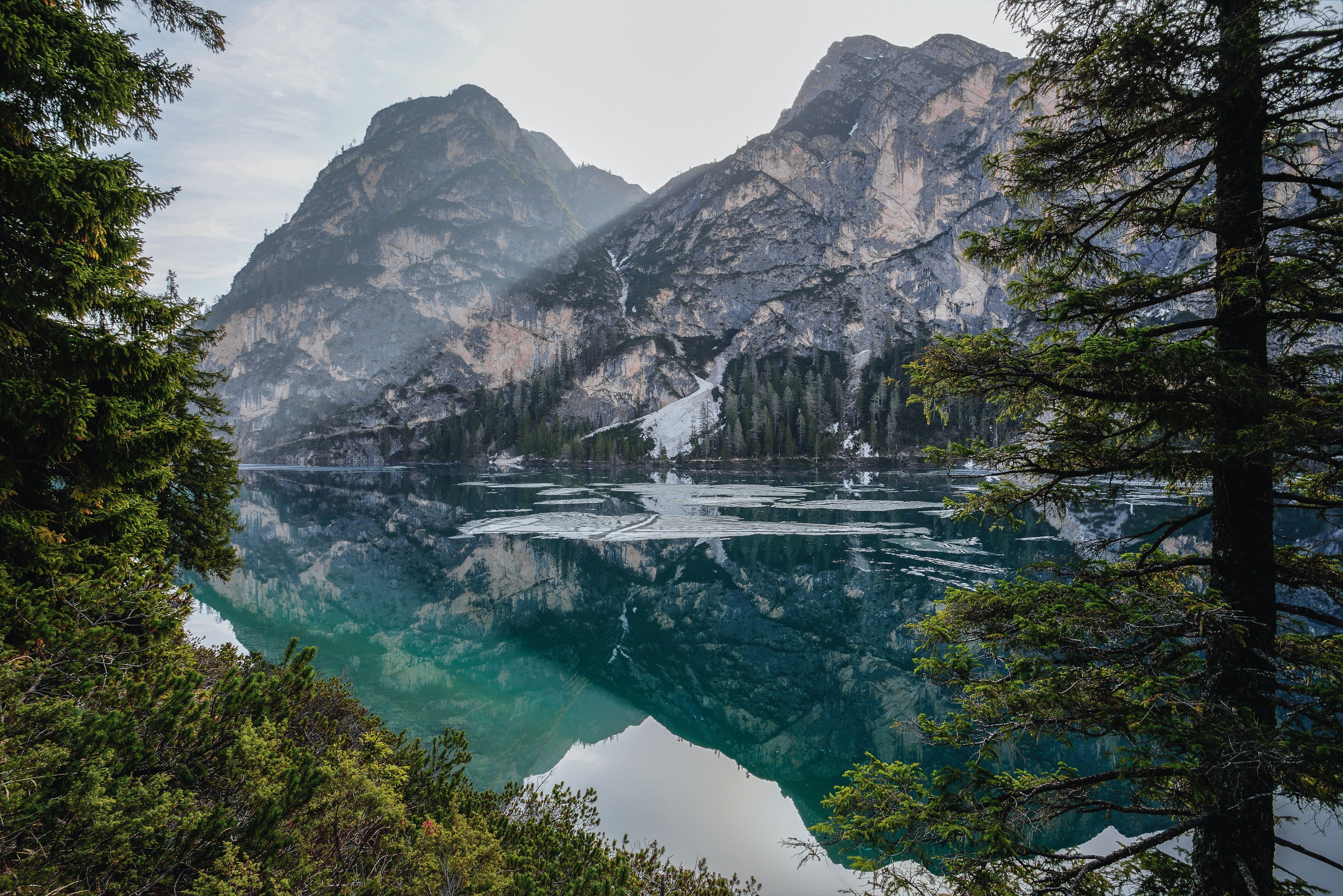 Bergsee, Felsberge, Nadelbäume, Spiegelung, Alpen, 5K, Desktop-Hintergrund für Windows