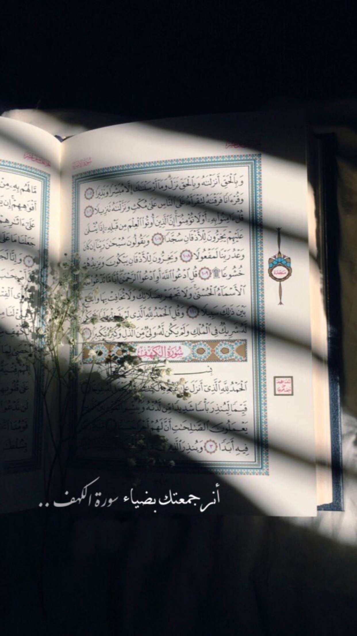 Offenes Buch, Licht und Schatten, Pflanze, Schwarz-Weiß, Besinnlich, Android-Hintergrundbild