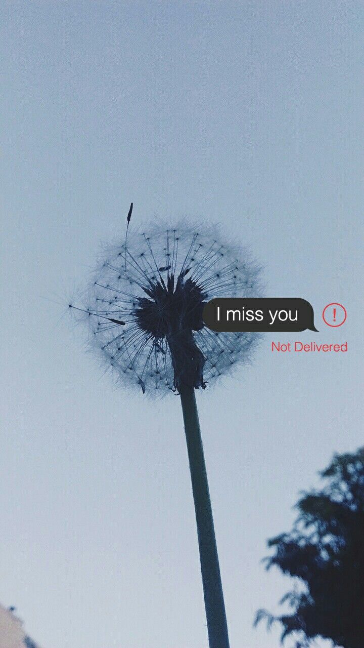 Pusteblume, I Miss You, Chatnachricht, Himmel, Melancholie, Hintergrundbild fürs Handy