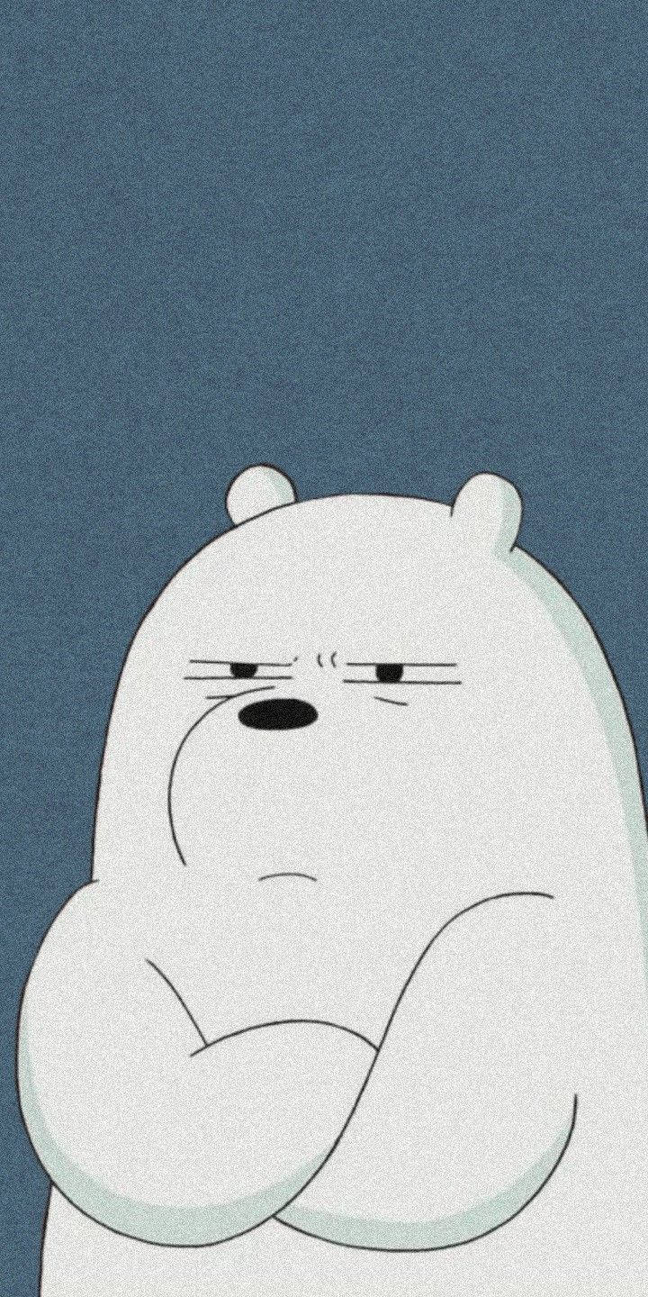 Eisbär, We Bare Bears – Bären wie wir, Verschränkte Arme, Grimmig, Cartoon, Hintergrundbild fürs Handy