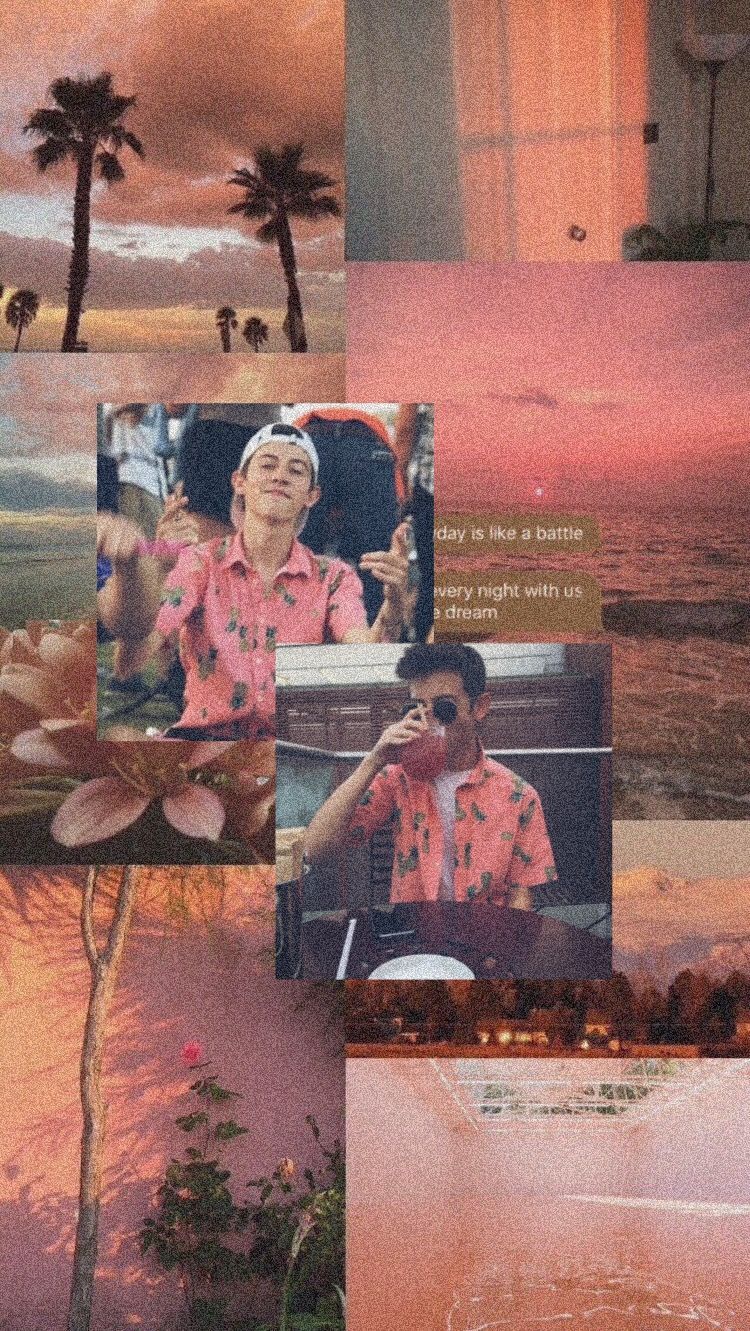 Collage, Palmen, Sommer, Pfirsichtöne, Ästhetik, Hintergrundbild für iPhone und Android
