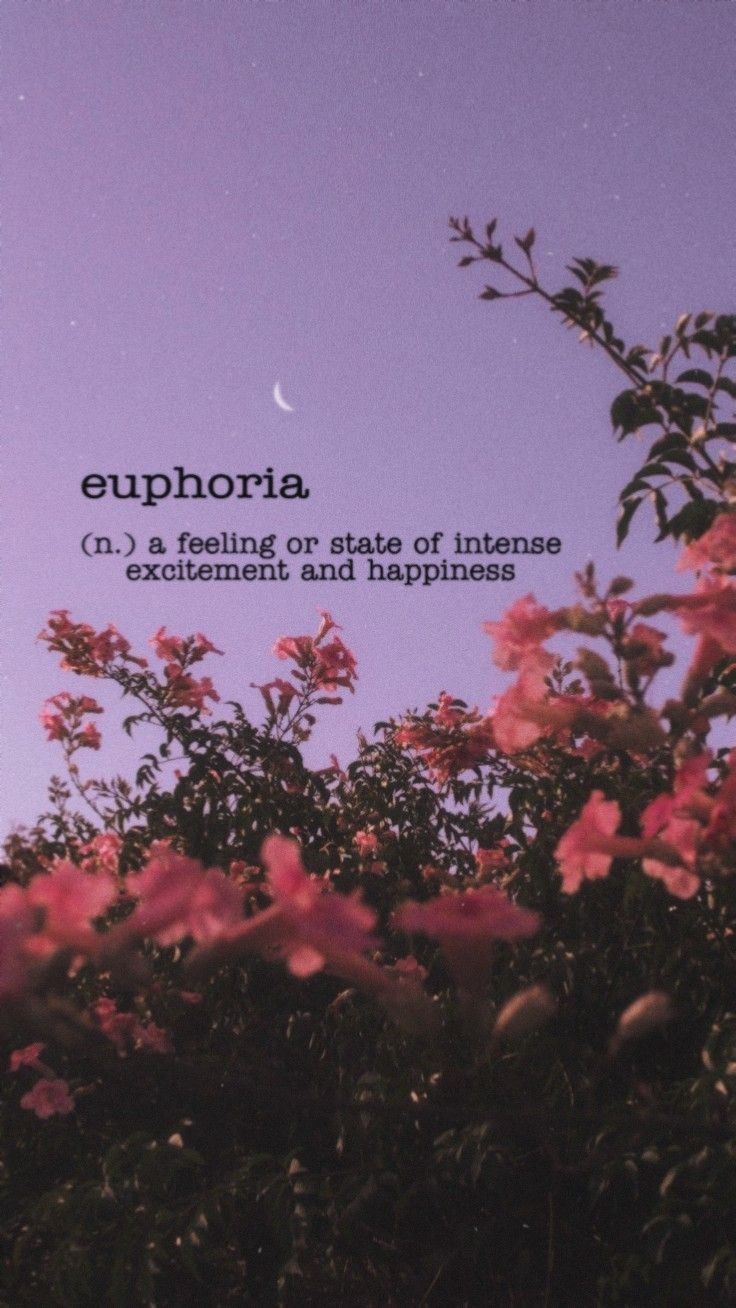 Euphoria, Wortdefinition, Blumen, Lila Himmel, Halbmond, HD, Handy-Hintergrund