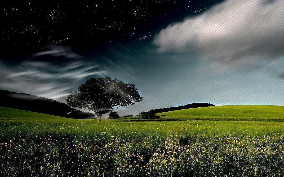Baum, Grüne Wiese, Wolken, Hügel, Landschaft, Hintergrundbild