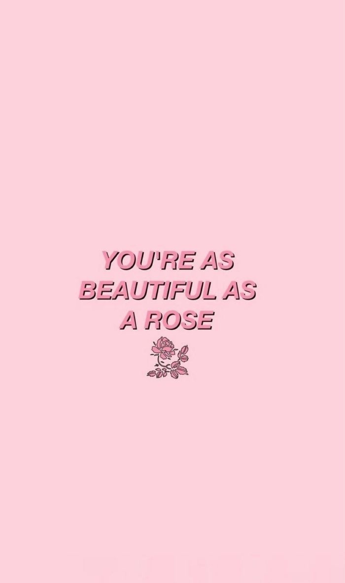 You're As Beautiful As A Rose, Zitat, Rose, Rosa Hintergrund, Typografie, Sperrbildschirm fürs iPhone