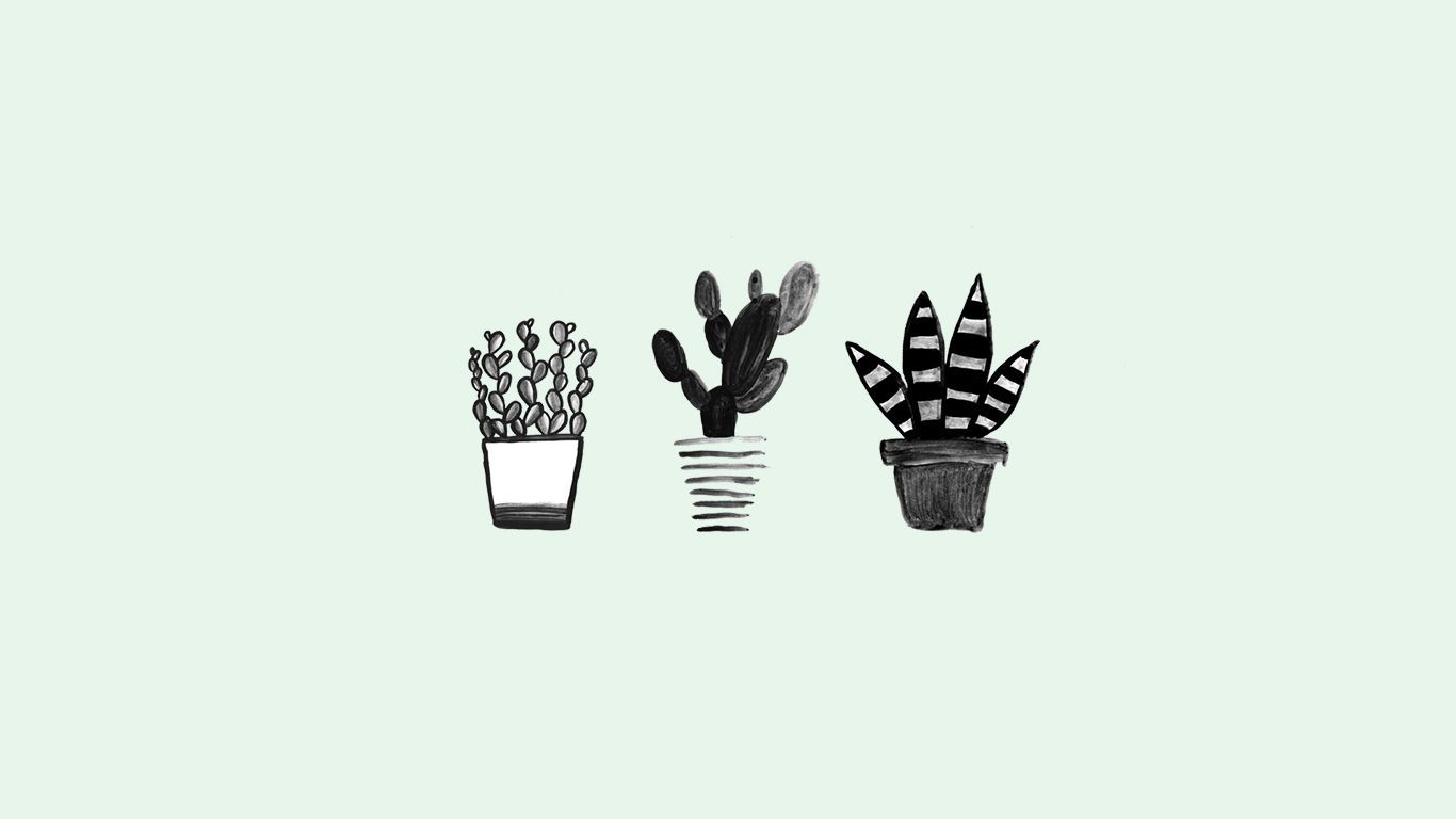 Kakteen, Topfpflanzen, Mintgrün, Minimalismus, Illustration, HD, Desktop-Hintergrund