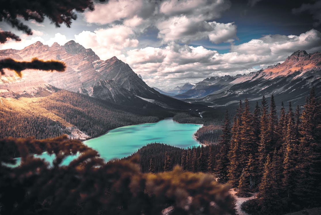 Peyto Lake, Banff-Nationalpark, Kanada, Rocky Mountains, Türkiser See, Nadelwald, Hintergrundbild