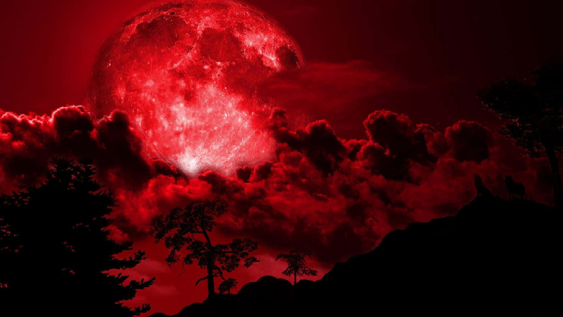 Blutmond, Roter Himmel, Wolken, Baumsilhouette, 1920x1080, Full-HD-Hintergrundbild für PC