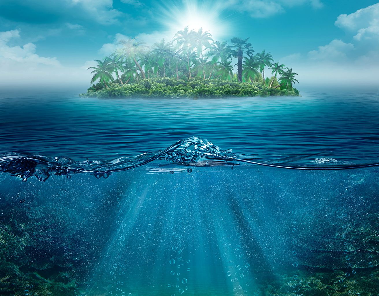Tropeninsel, Halb-unter-Wasser, Palmen, Ozean, Unterwasser, HD, Laptop-Hintergrundbild
