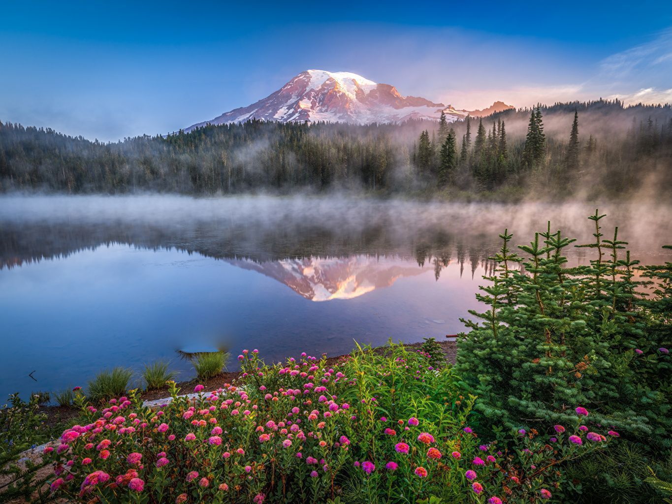 Mount Rainier, Bergsee, Nebel, Wildblumen, Sonnenaufgang, HD, iPad-Hintergrundbild