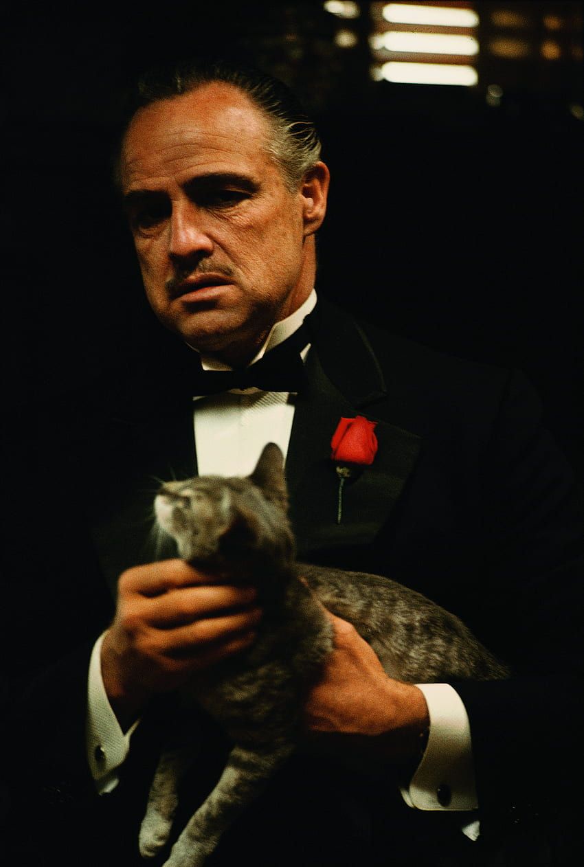 Vito Corleone, Marlon Brando, Der Pate, Katze, Rote Rose, HD, Tablet-Hintergrund