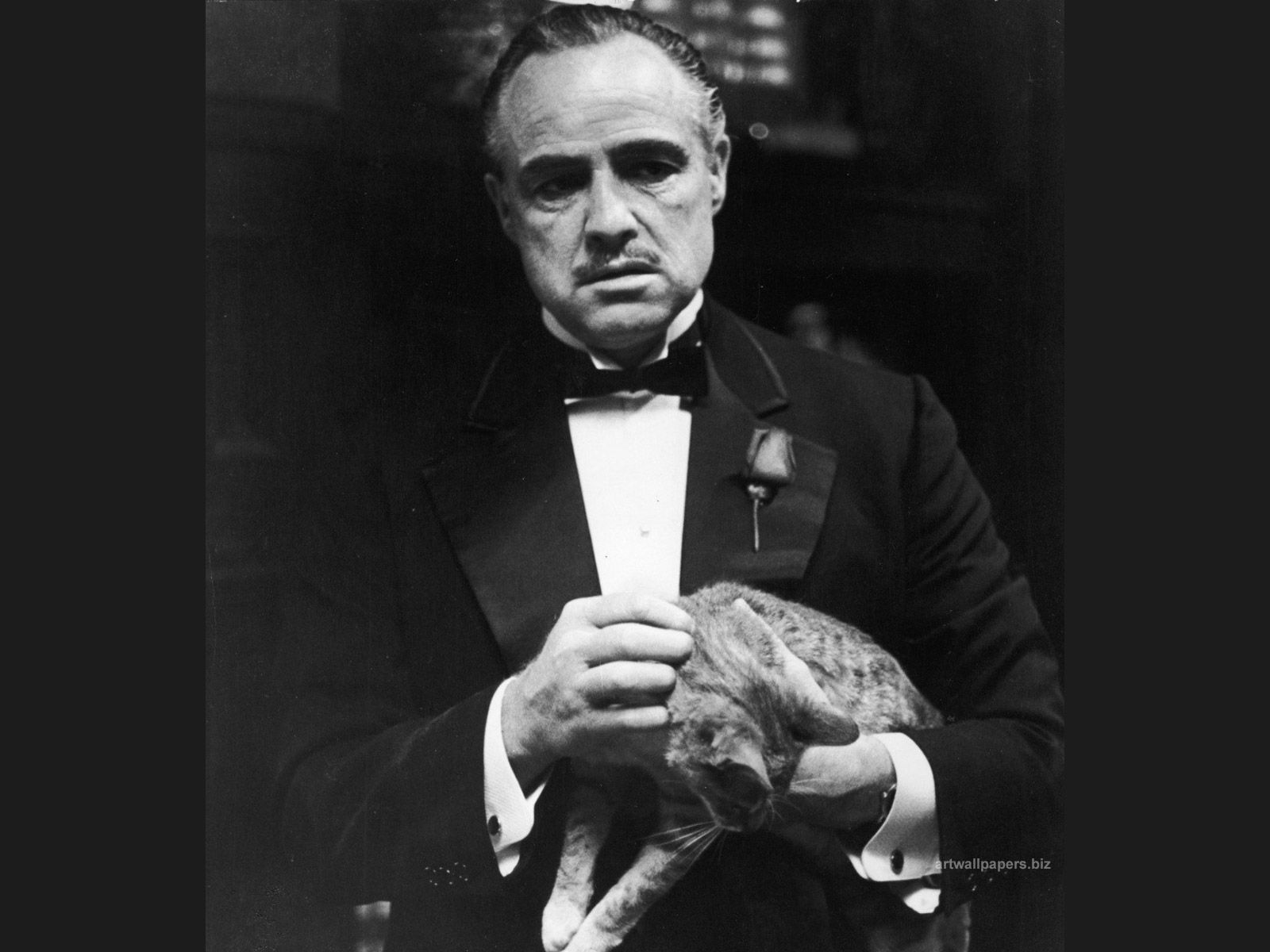 Vito Corleone, Marlon Brando, Der Pate, Katze, Schwarz-Weiß, Hintergrundbild fürs iPad