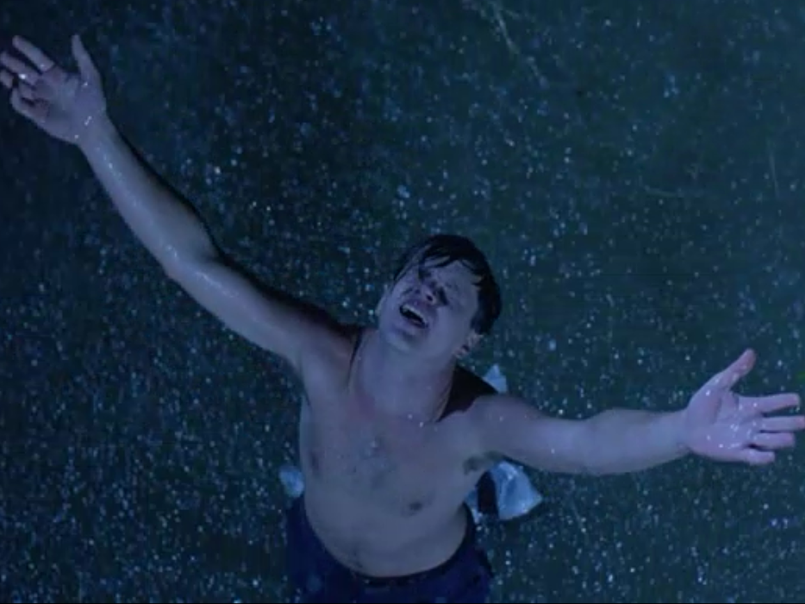 Andy Dufresne, Tim Robbins, Die Verurteilten, Regen, Freiheit, Vogelperspektive, Tablet-Hintergrundbild