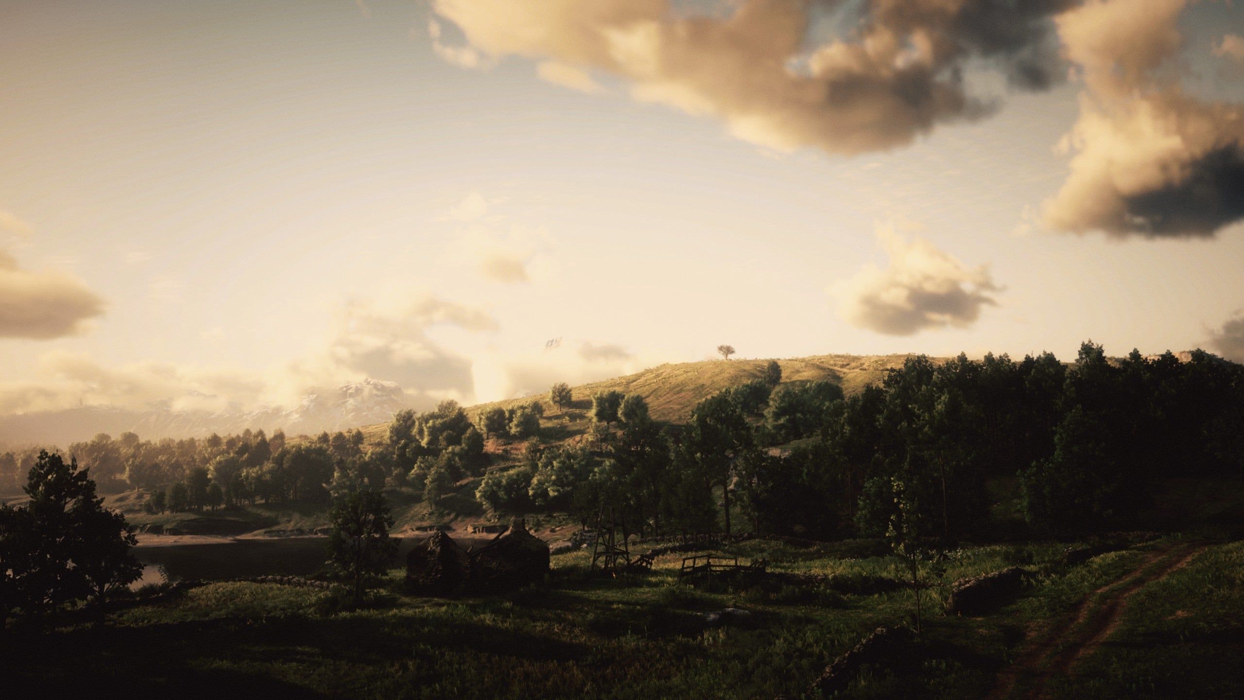 Landschaft, Feld, Wolken, Sonnenuntergang, Bäume, 2K 1440p, Desktop-Hintergrundbild