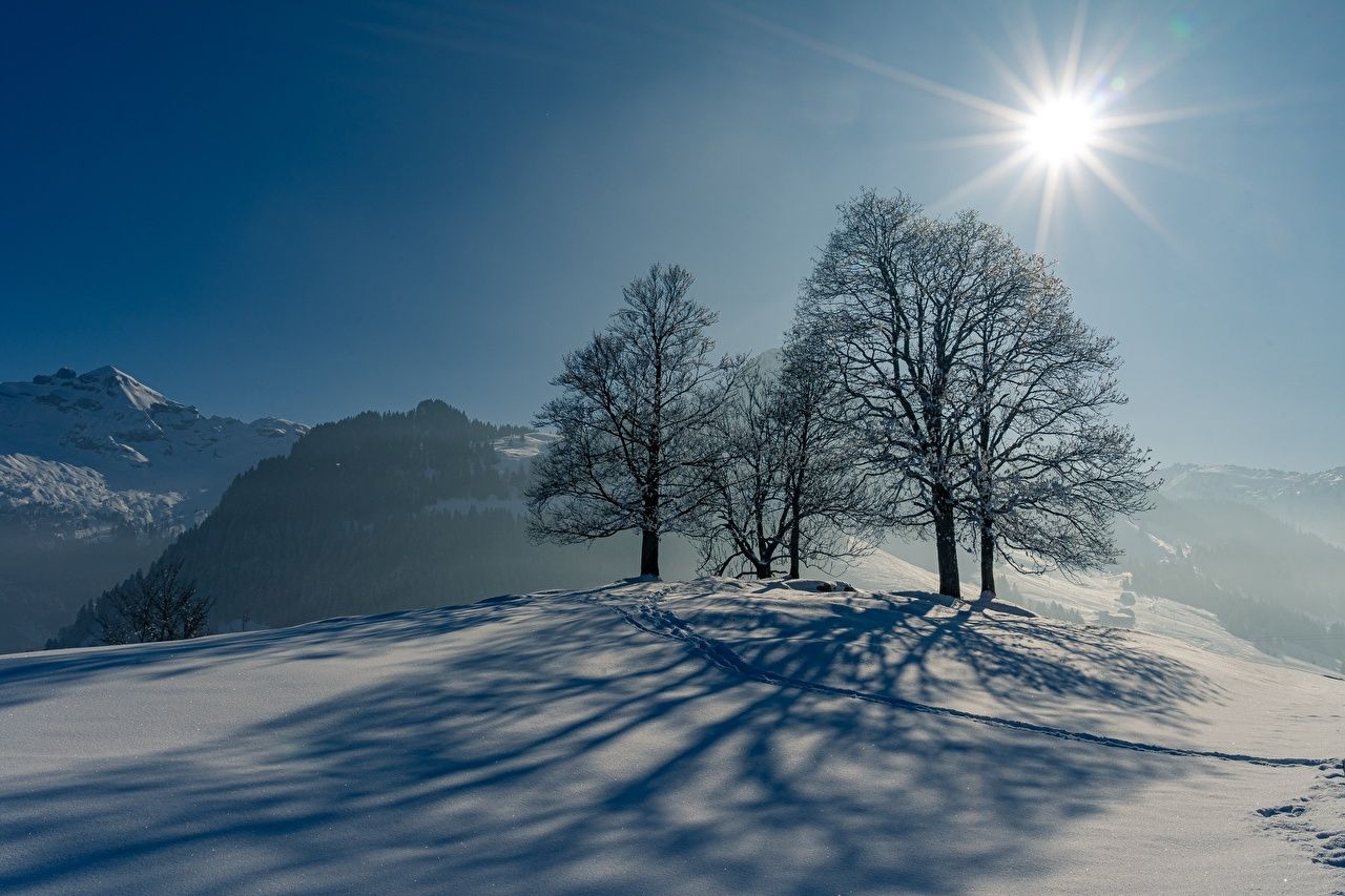 Winterlandschaft, Bäume, Schnee, Sonne, Schatten, HD, Hintergrundbild für den PC