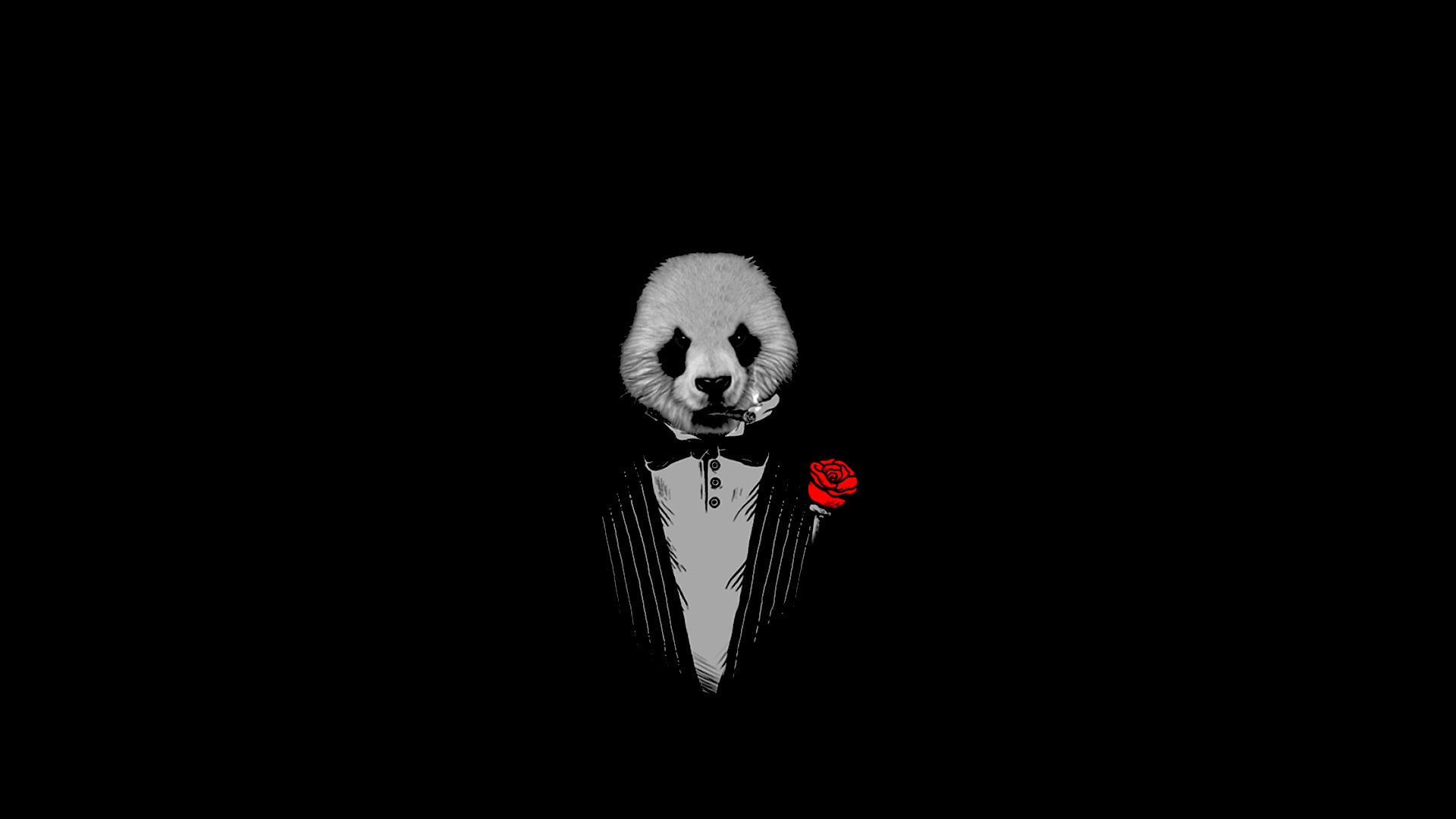 Panda, Smoking, Rote Rose, Der Pate, Parodie, Schwarzer Hintergrund, Full HD Wallpaper