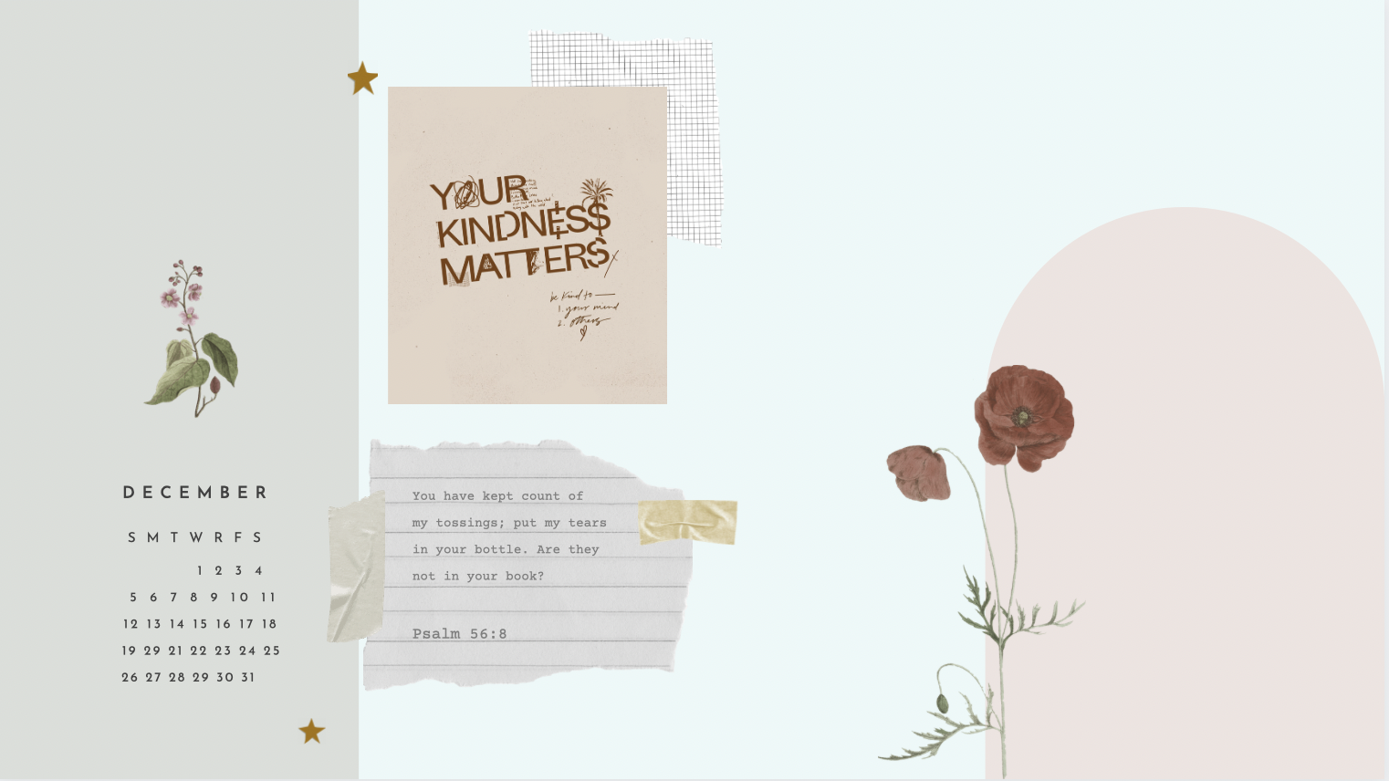 Your kindness matters, Kalender, Dezember, Blumen, Pastell, HD, PC-Hintergrundbild