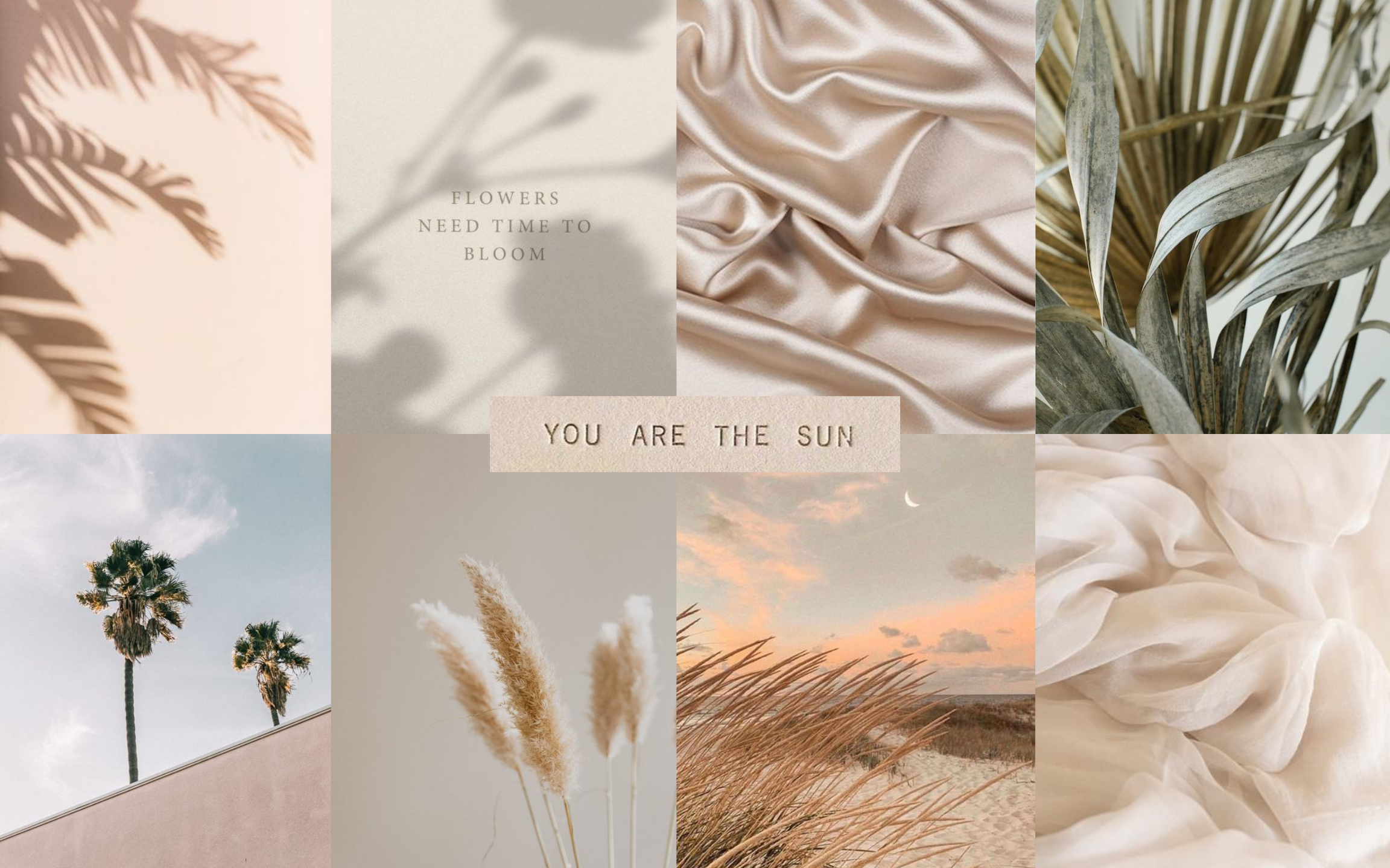 Collage, Beige, Seide, Palmen, Pampasgras, Ästhetik, MacBook, Desktop-Hintergrundbild