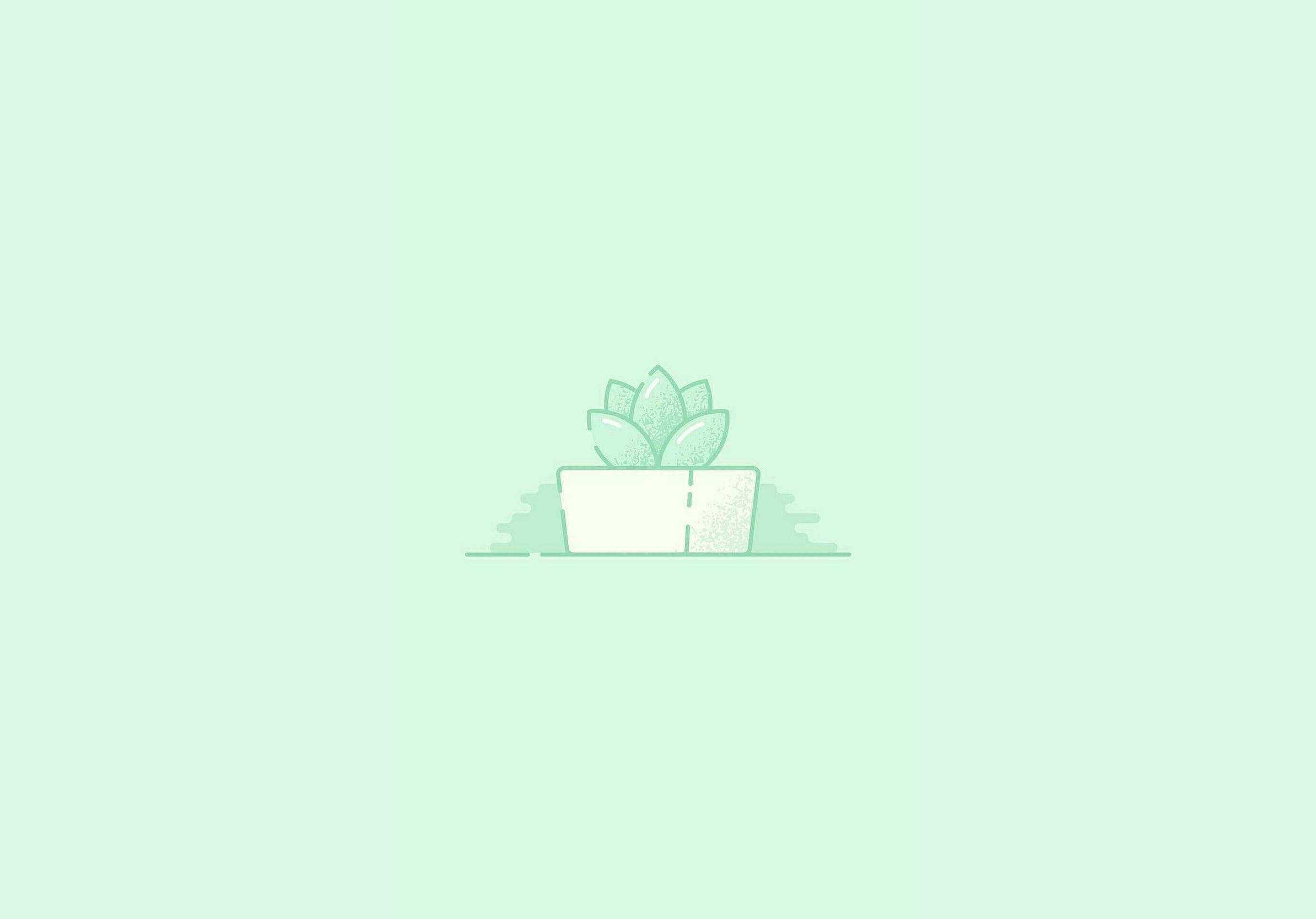 Sukkulente, Blumentopf, Illustration, Mintgrüner Hintergrund, Minimalistisch, iPad-Pro-Wallpaper