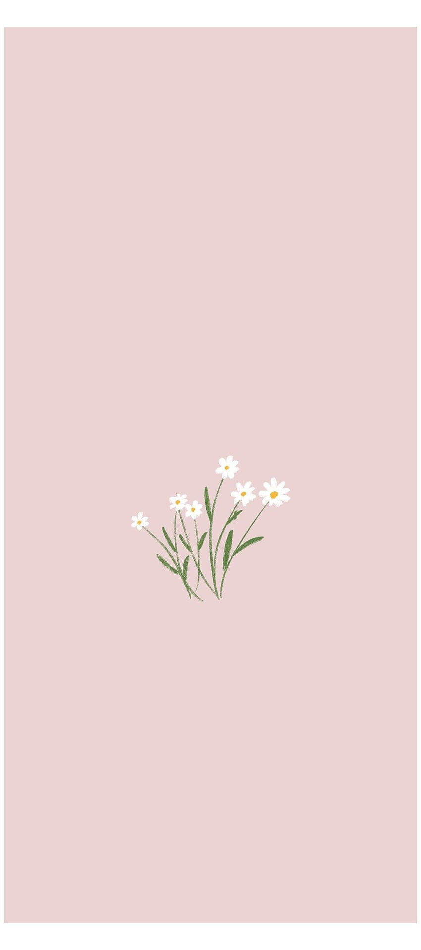 Blumen, Minimalistisch, Altrosa Hintergrund, iPad Pro, Sperrbildschirm