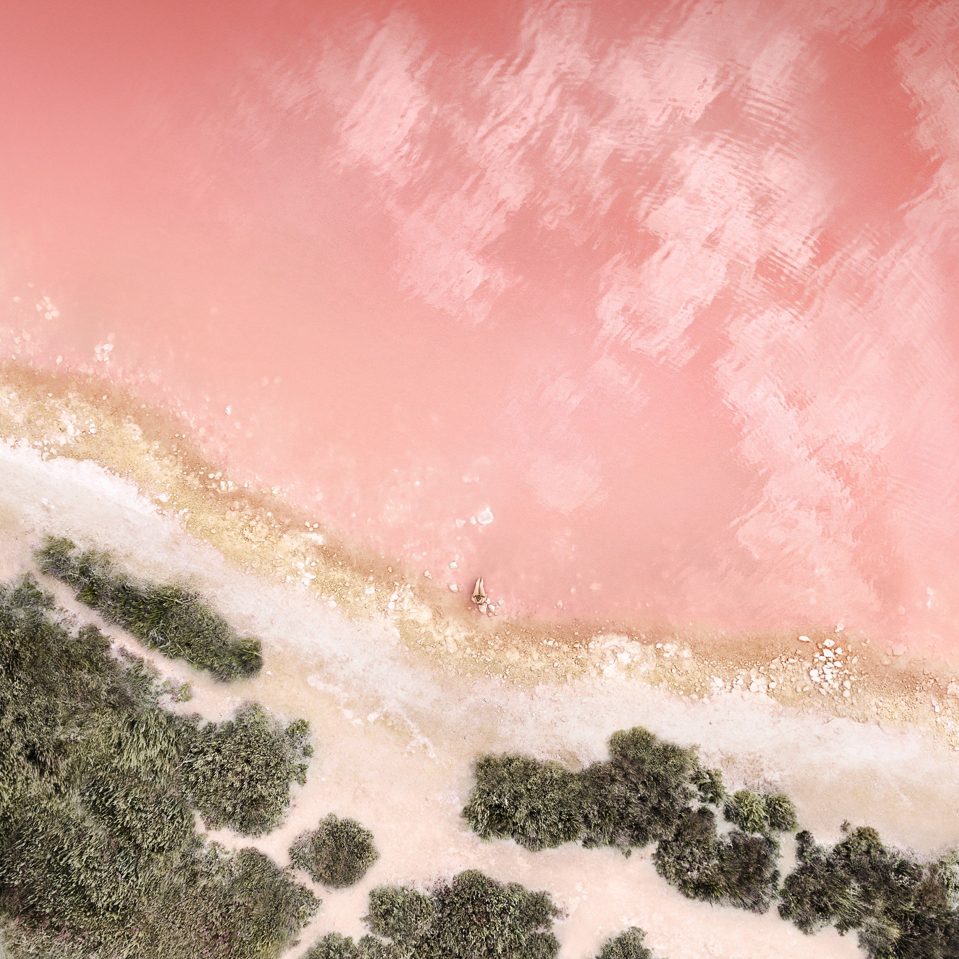 Strand, Luftaufnahme, Wald, Rosa Meer, Küste, Sperrbildschirm fürs iPad Pro