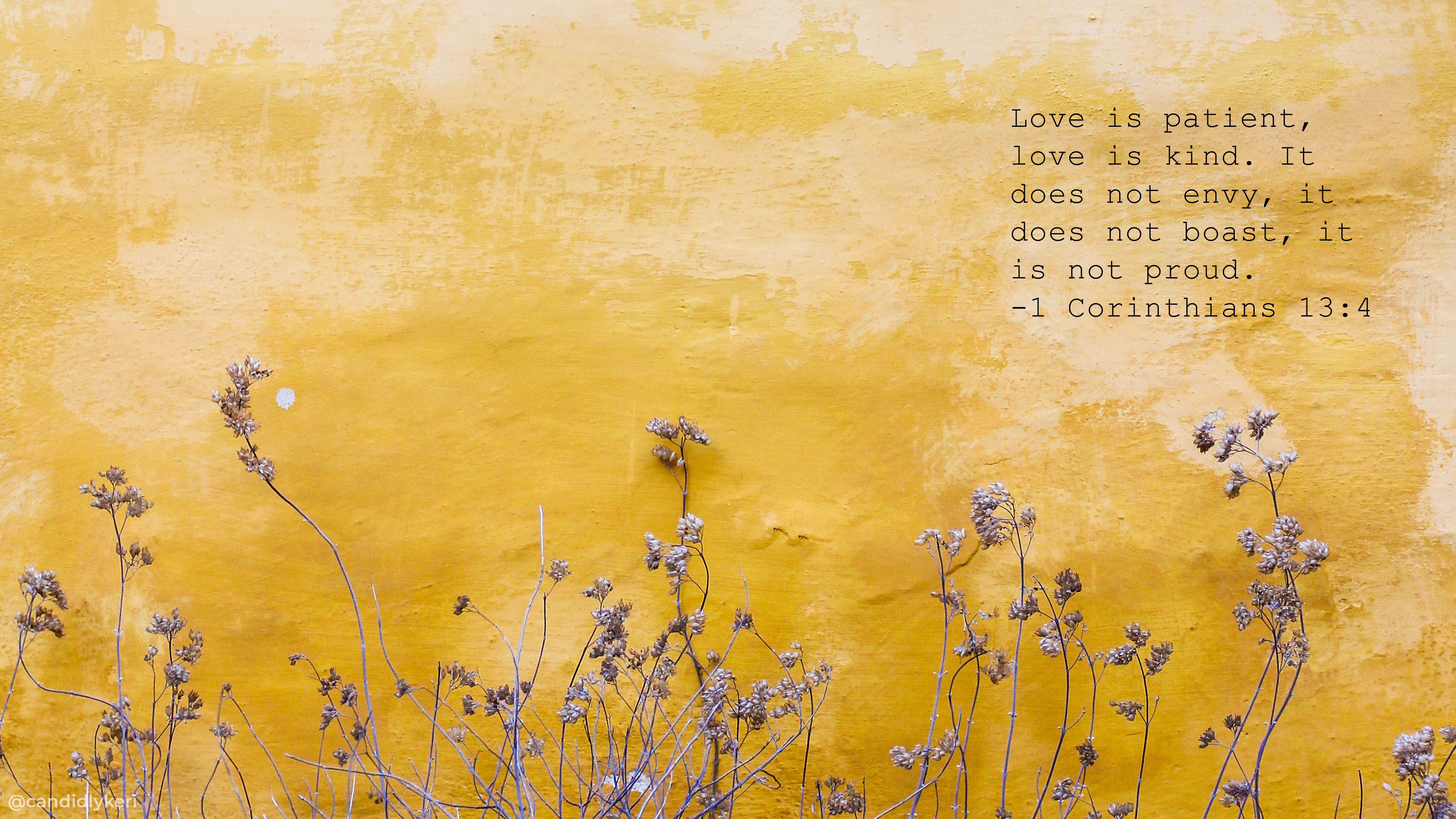 1. Korinther 13, Bibelvers, Wildblumen, Gelb, Vintage, 5K, Desktop-Hintergrund für Windows