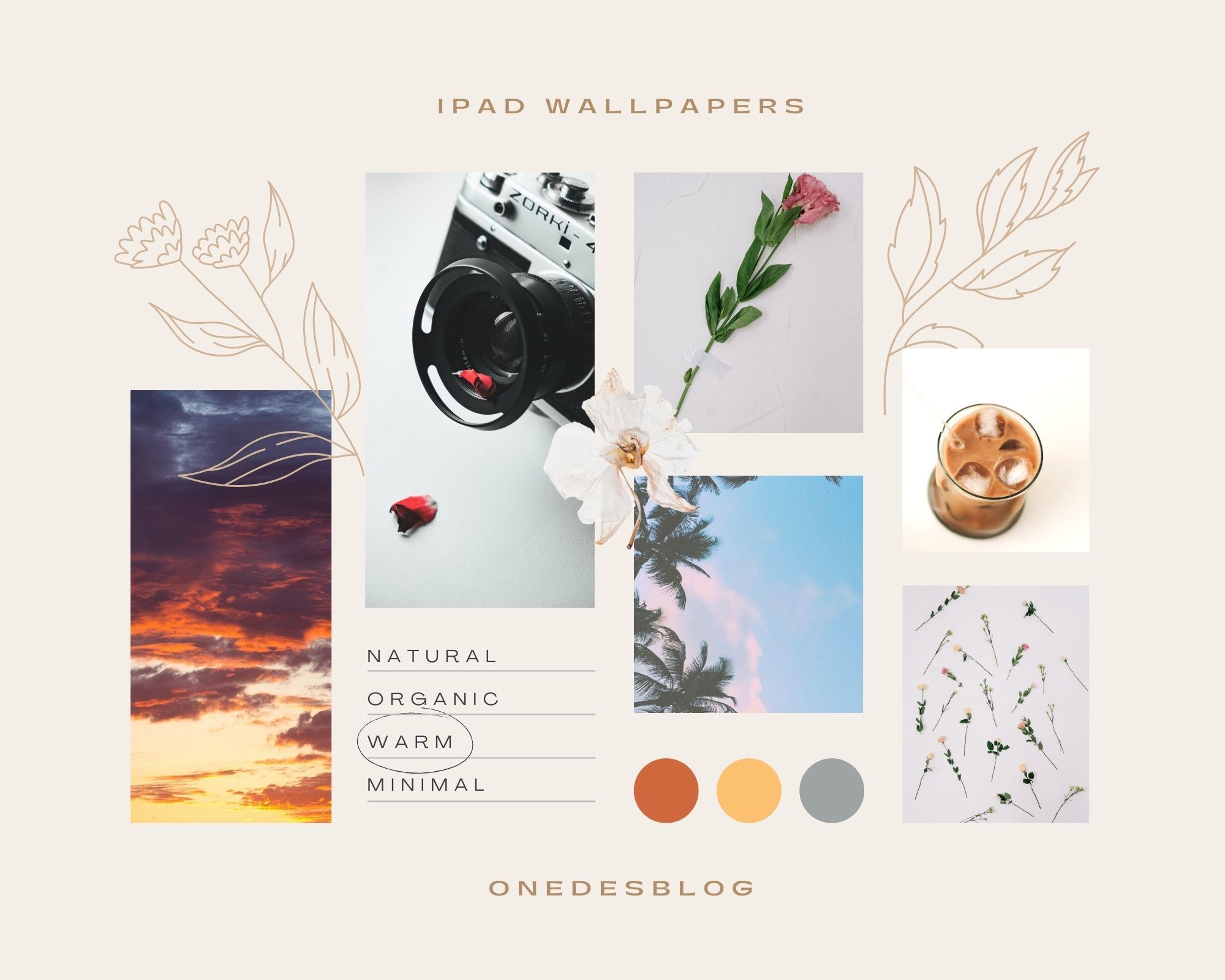 Moodboard, Collage, Kamera, Farbpalette, Neutrale Töne, iPad Pro, Hintergrundbild
