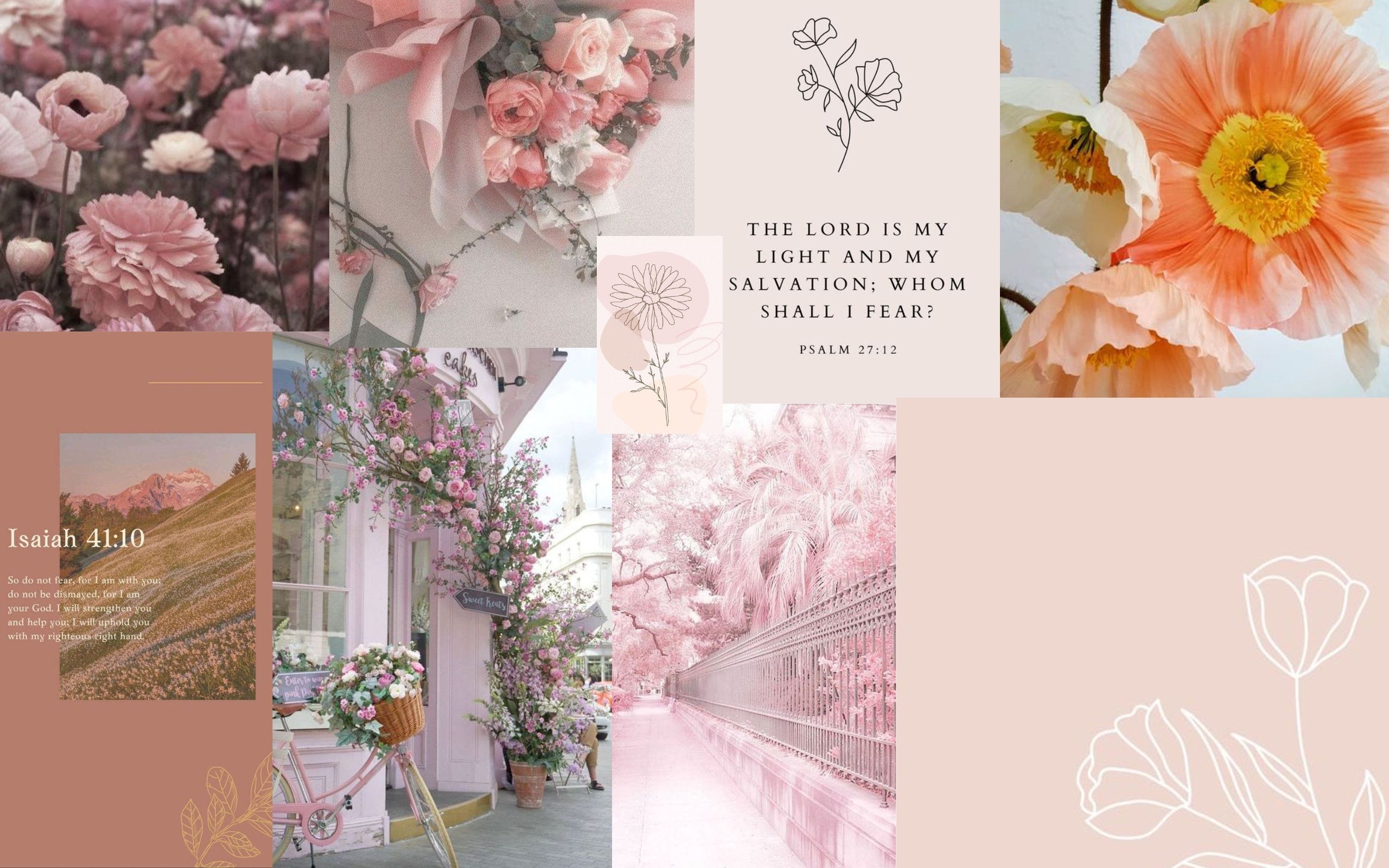 Collage, Rosa Blumen, Bibelvers, Mohnblume, Pastellfarben, MacBook, Hintergrundbild