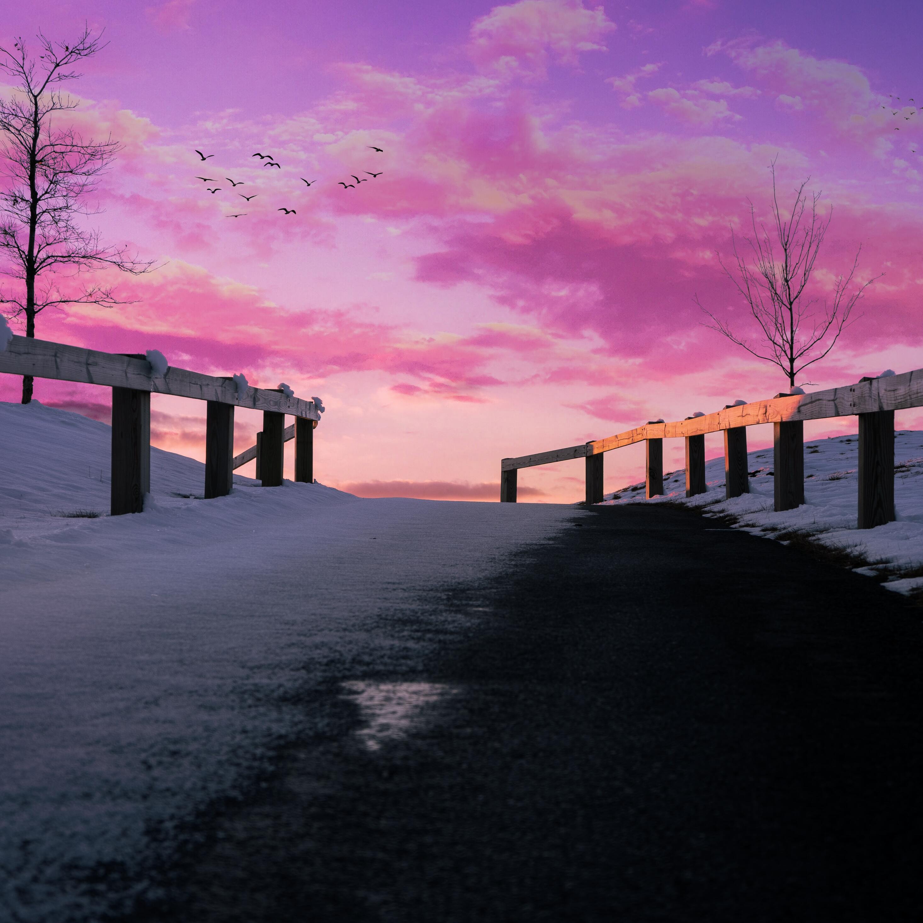 Holzgeländer, Schnee, Winter, Sonnenuntergang, Lila Himmel, Vögel, iPad-Pro-Hintergrundbild