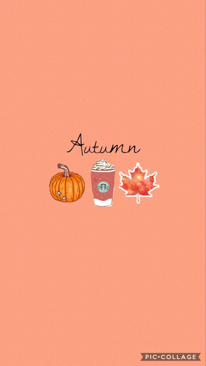 Autumn, Kürbis, Kaffeebecher, Ahornblatt, Pfirsichfarben, Minimalistisch, Android-Hintergrundbild