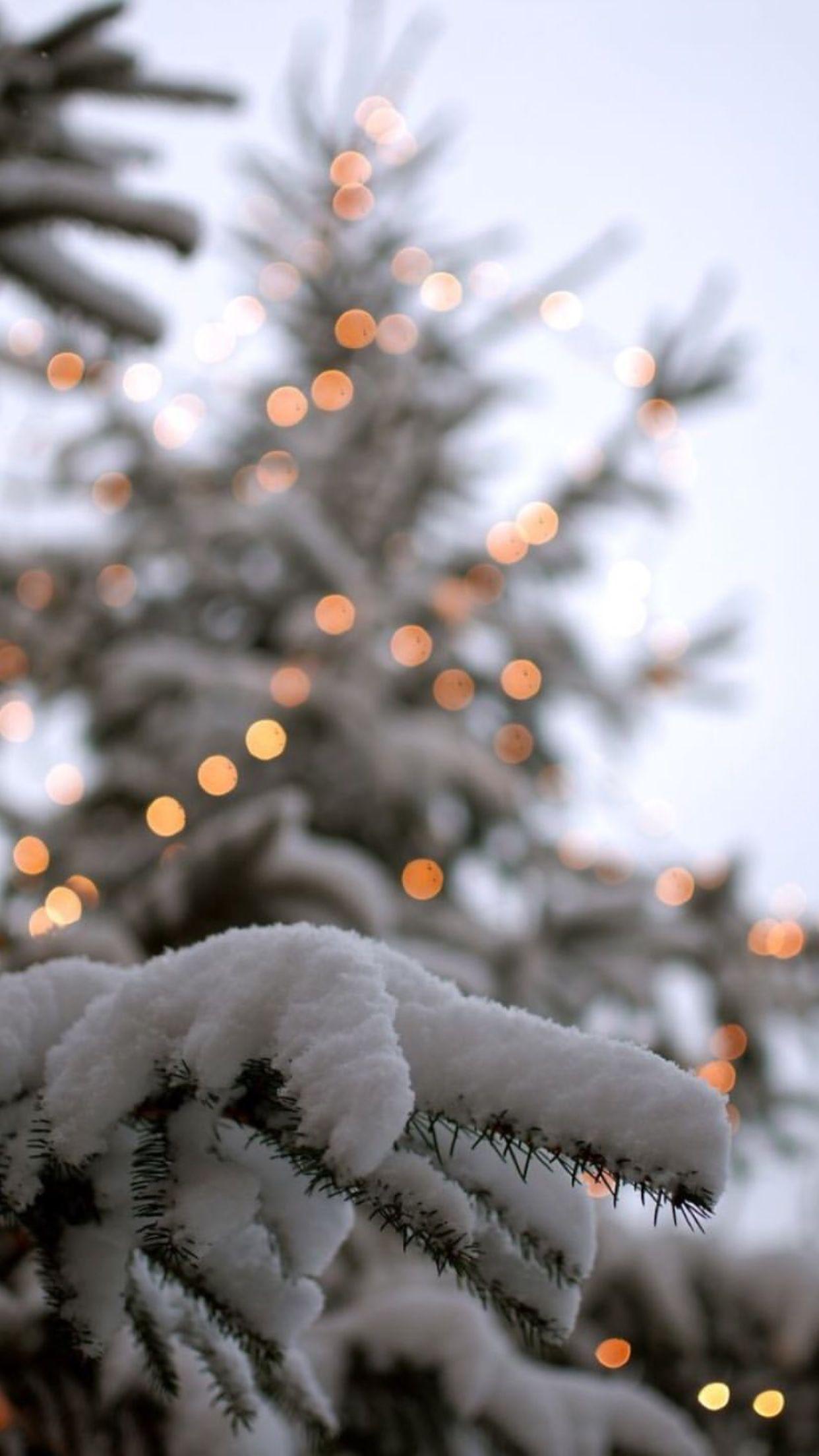 Tannenzweig, Lichterkette, Bokeh, Schnee, Hochformat, Full HD, Sperrbildschirm fürs iPhone